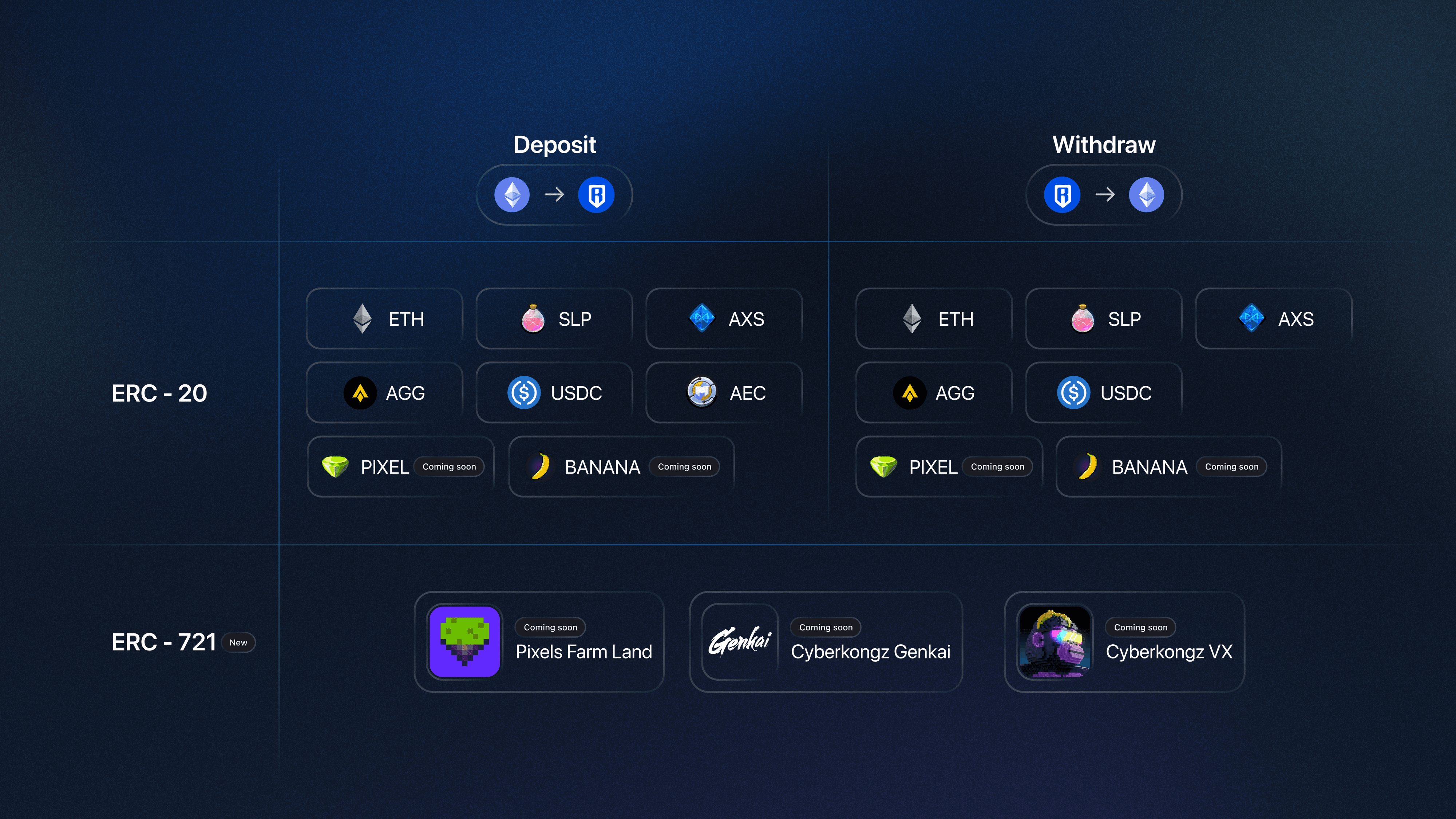 Ronin zkEVM developer dashboard