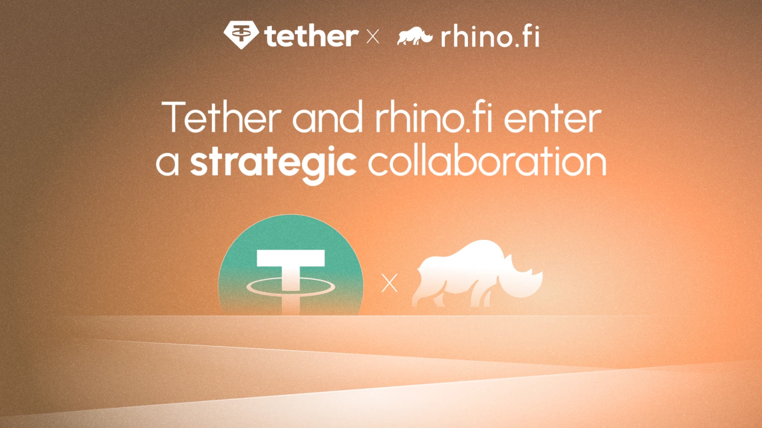 Rhino.fi Bridge-as-a-Service stablecoin deposit