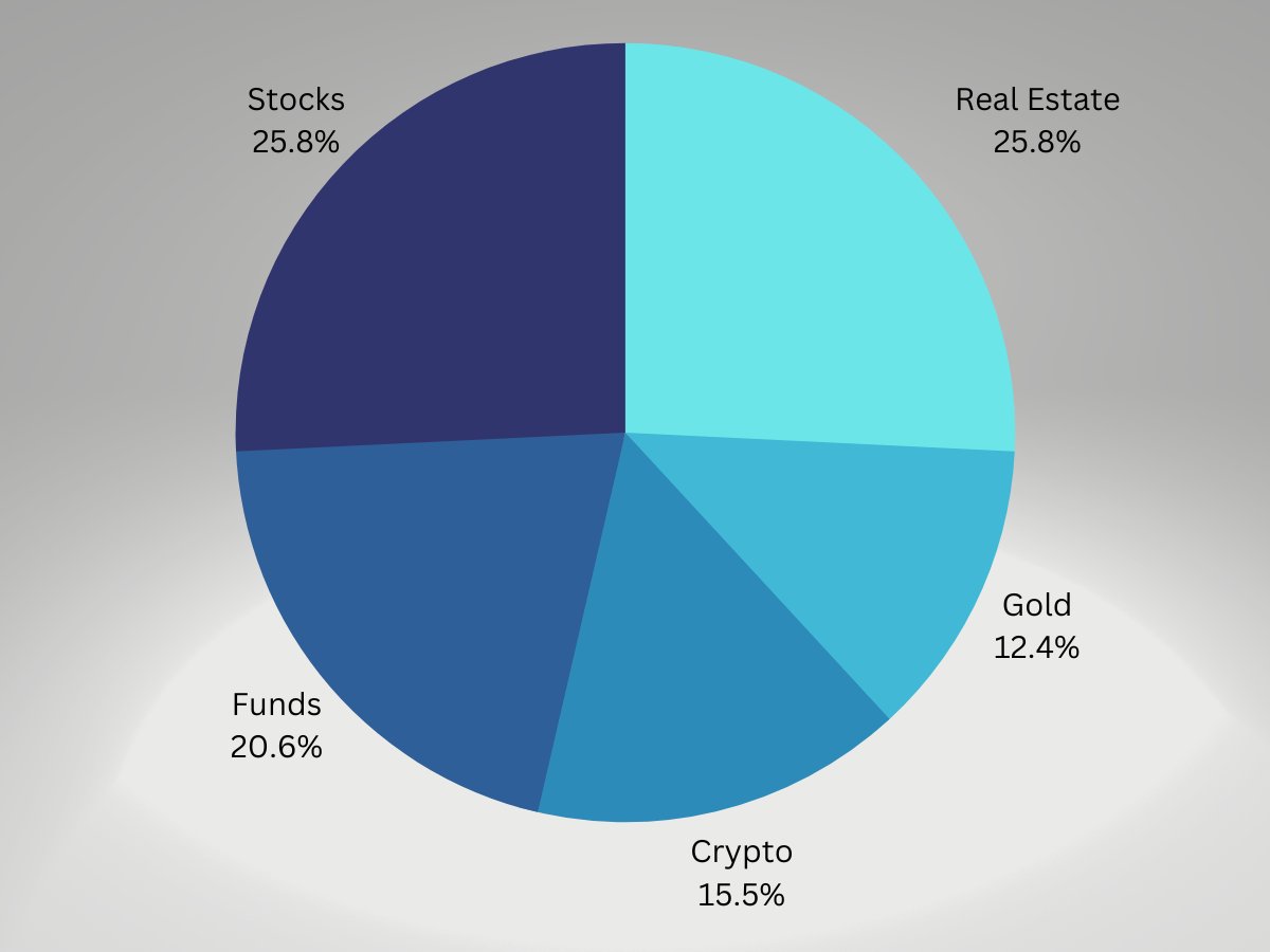 portfolio pie chart 5% bitcoin allocation