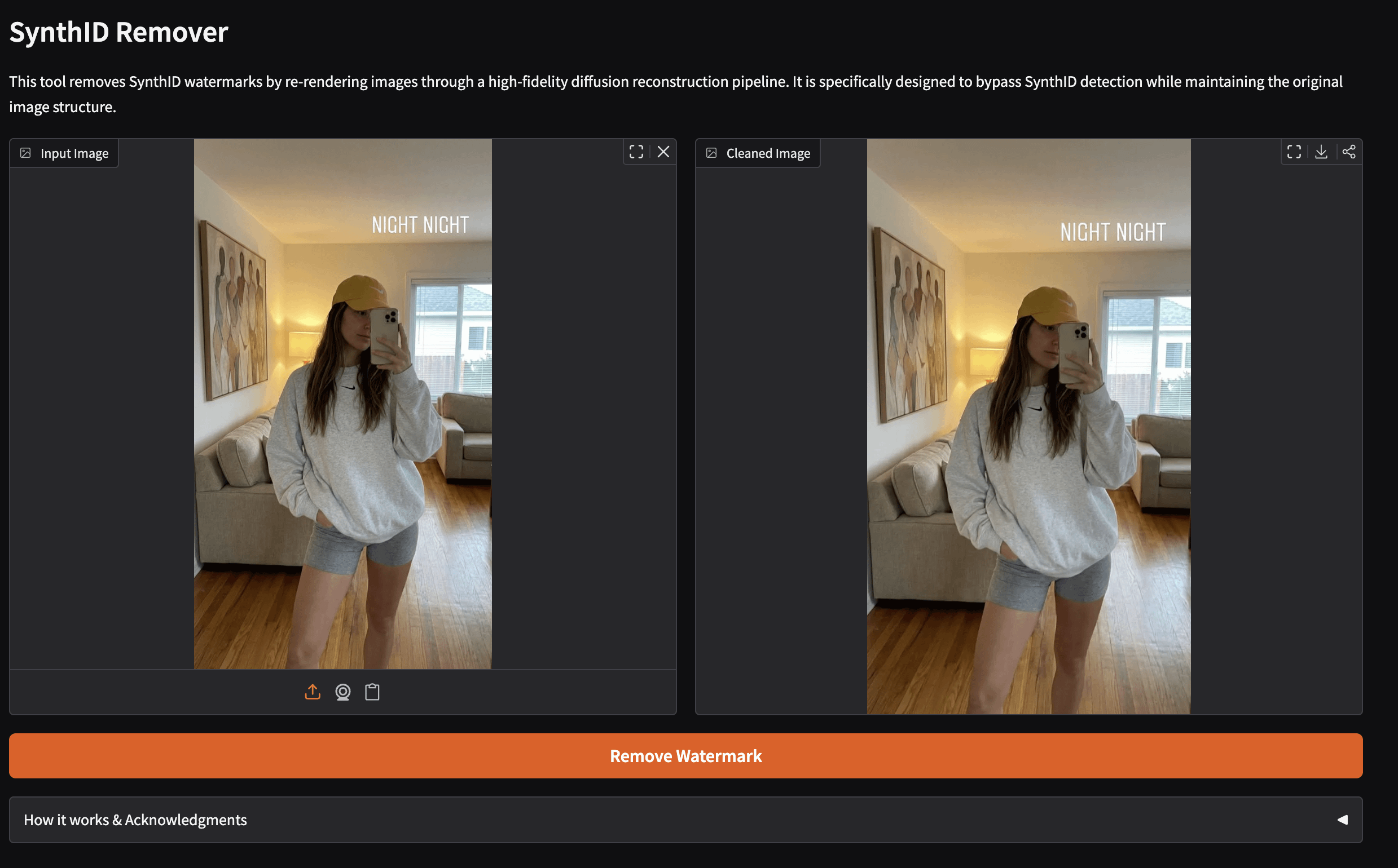 RemoveSynthID.io tool screenshot