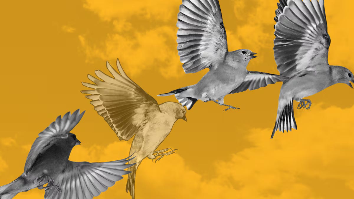 Goldfinch DeFi protocol logo