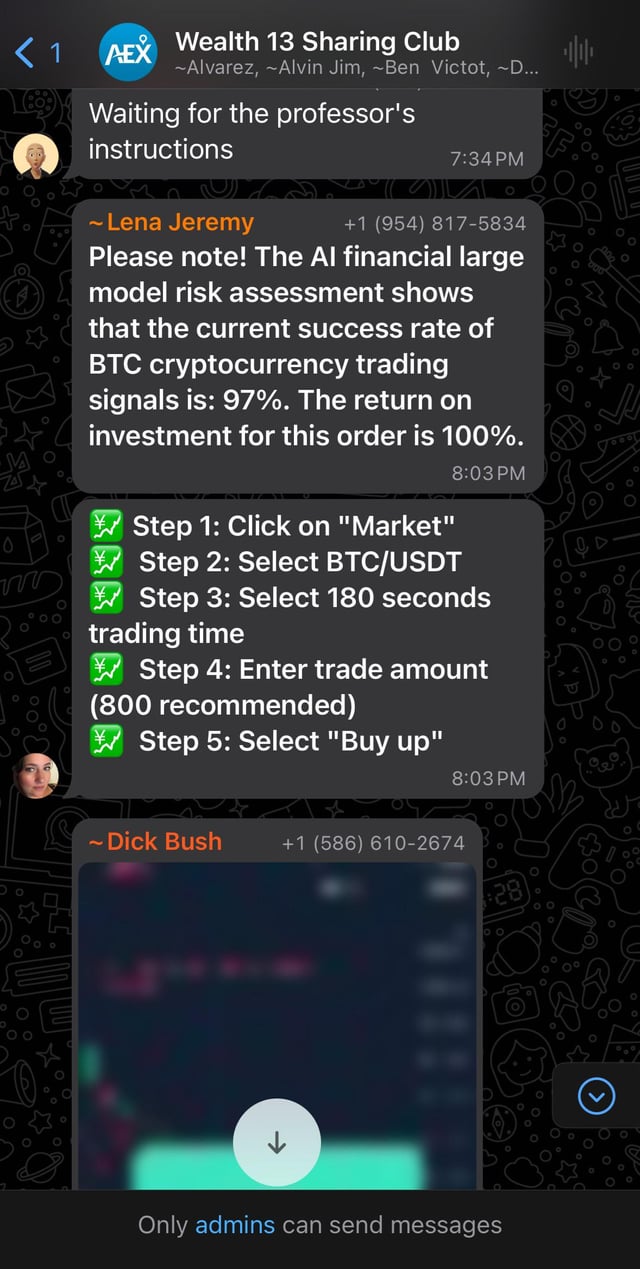 WhatsApp crypto scam warning screenshot