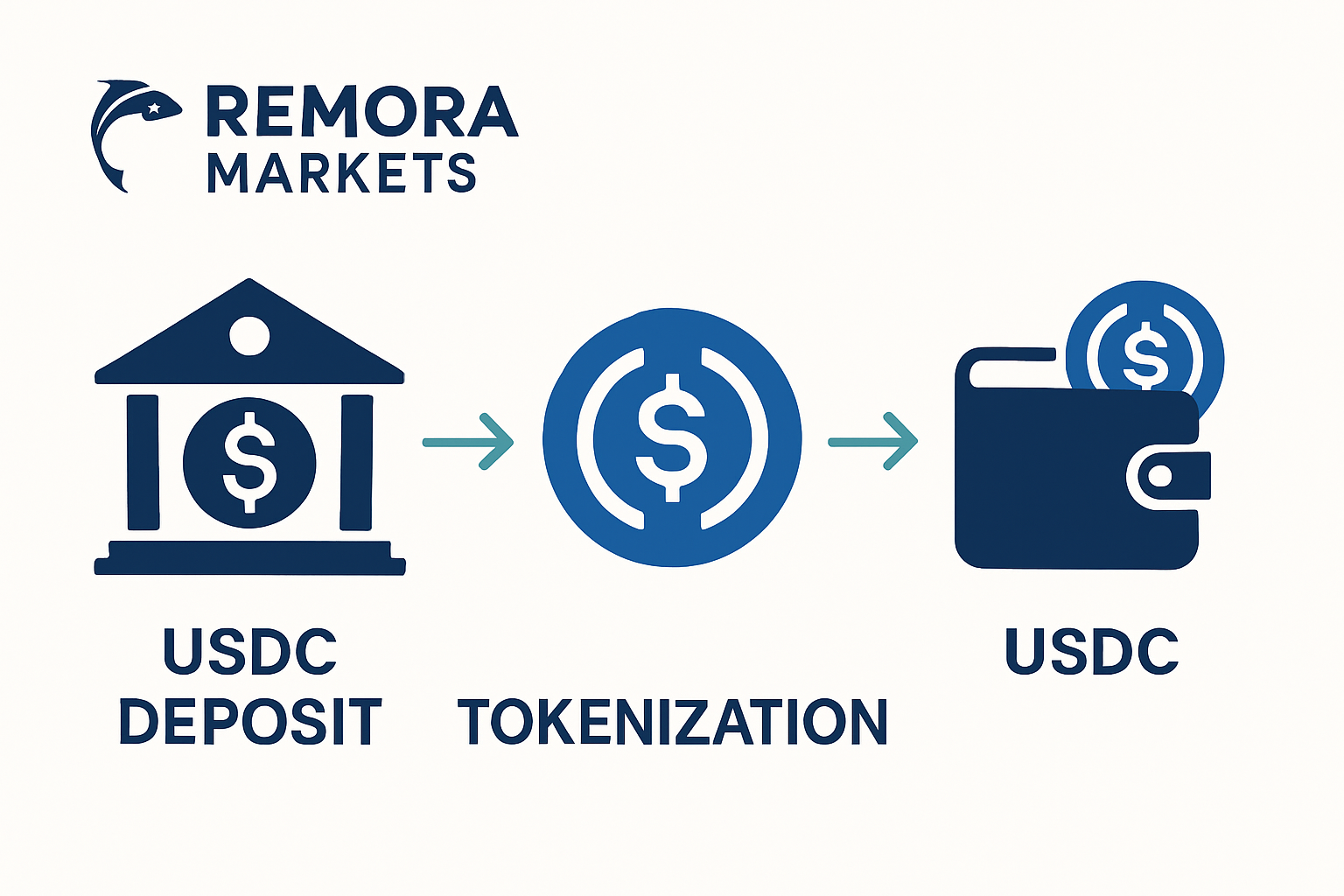 Remora Markets USDC deposit and tokenization process