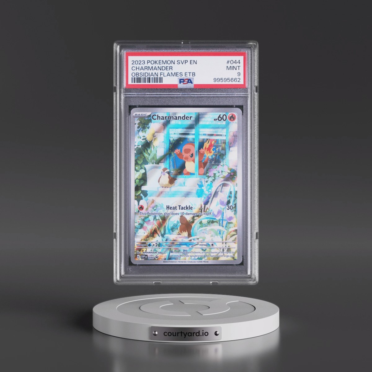 Pokémon card in binder vs Courtyard NFT digital vault