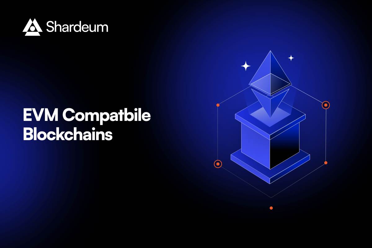 Stablechain EVM compatibility development