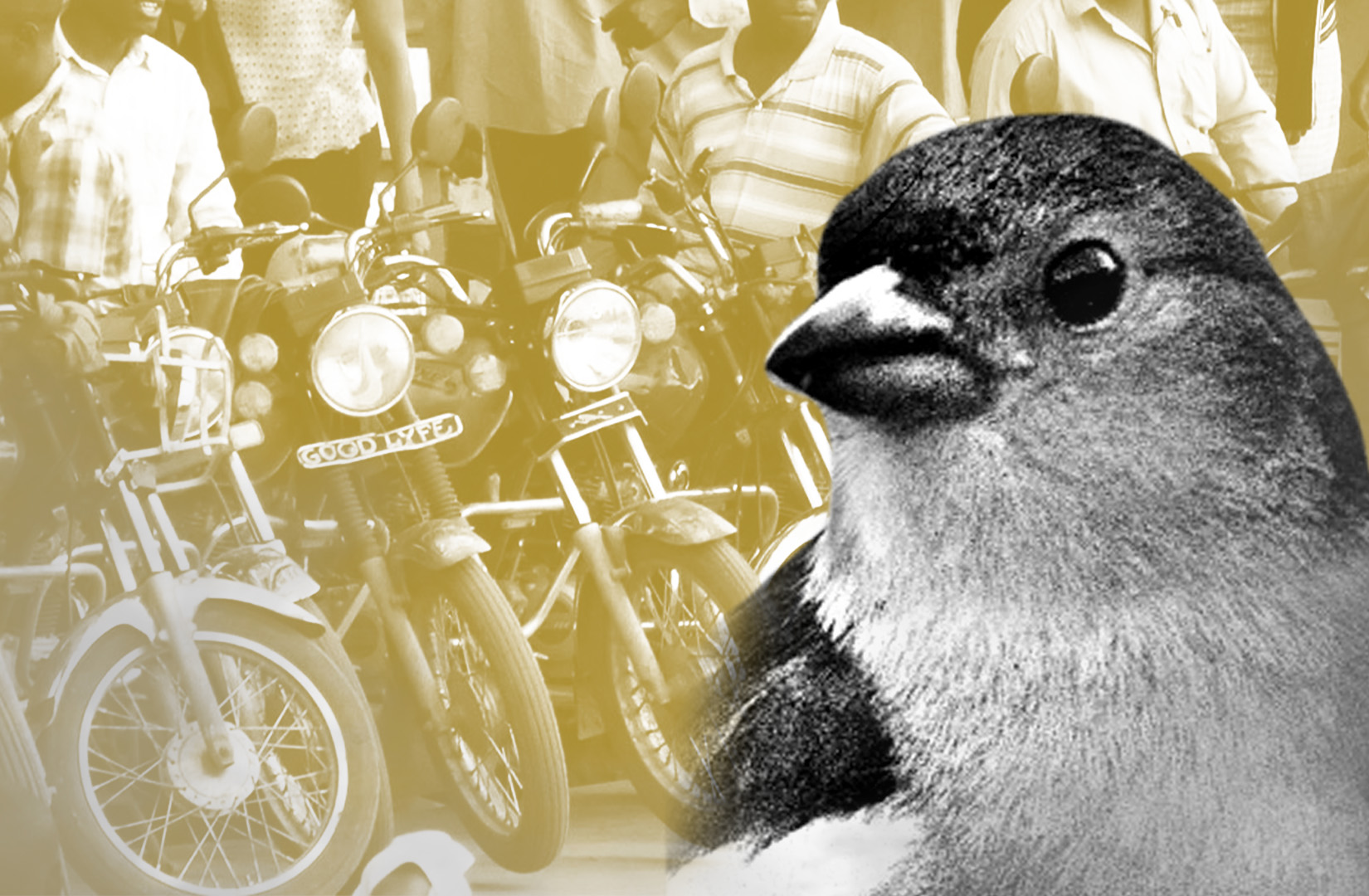 Goldfinch DeFi lending platform small business loans