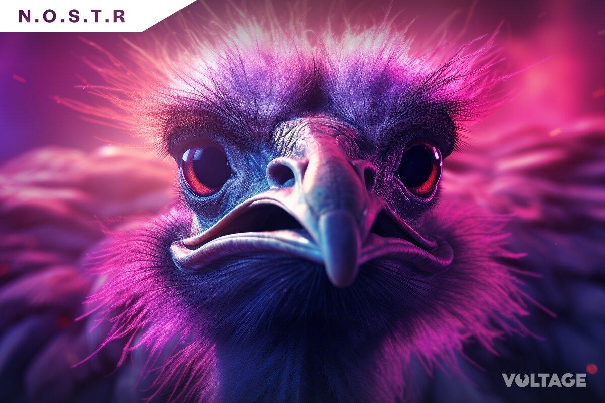 Nostr relays network