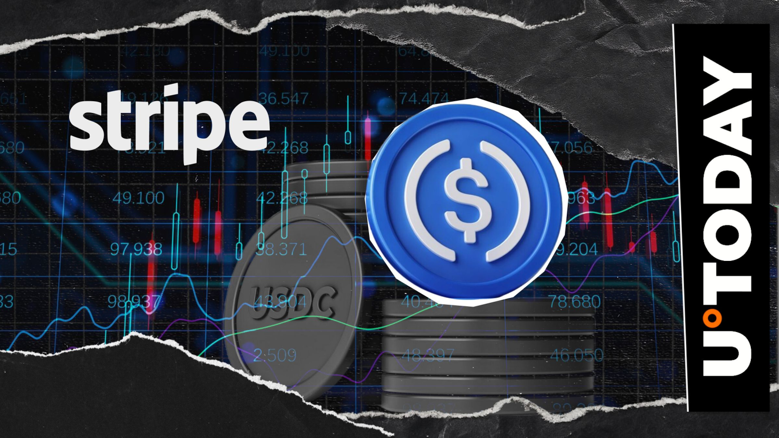 Etherscan USDC Base chain