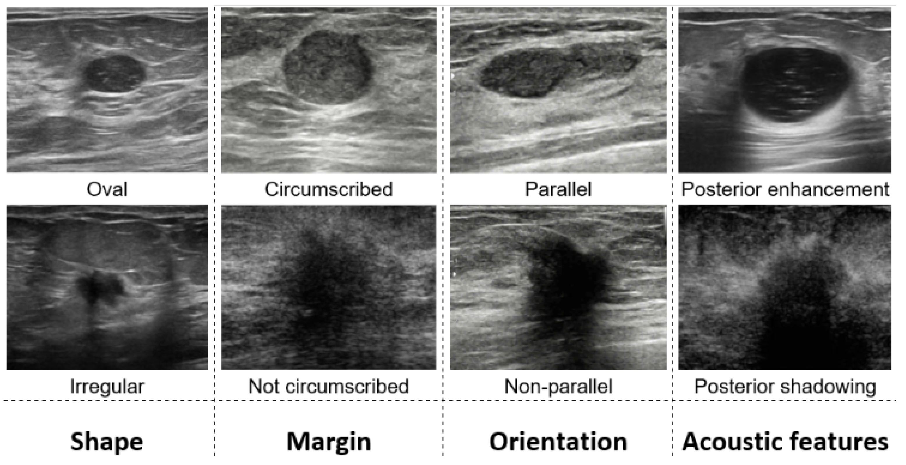 Herd's Eye View model multi-agent coordination