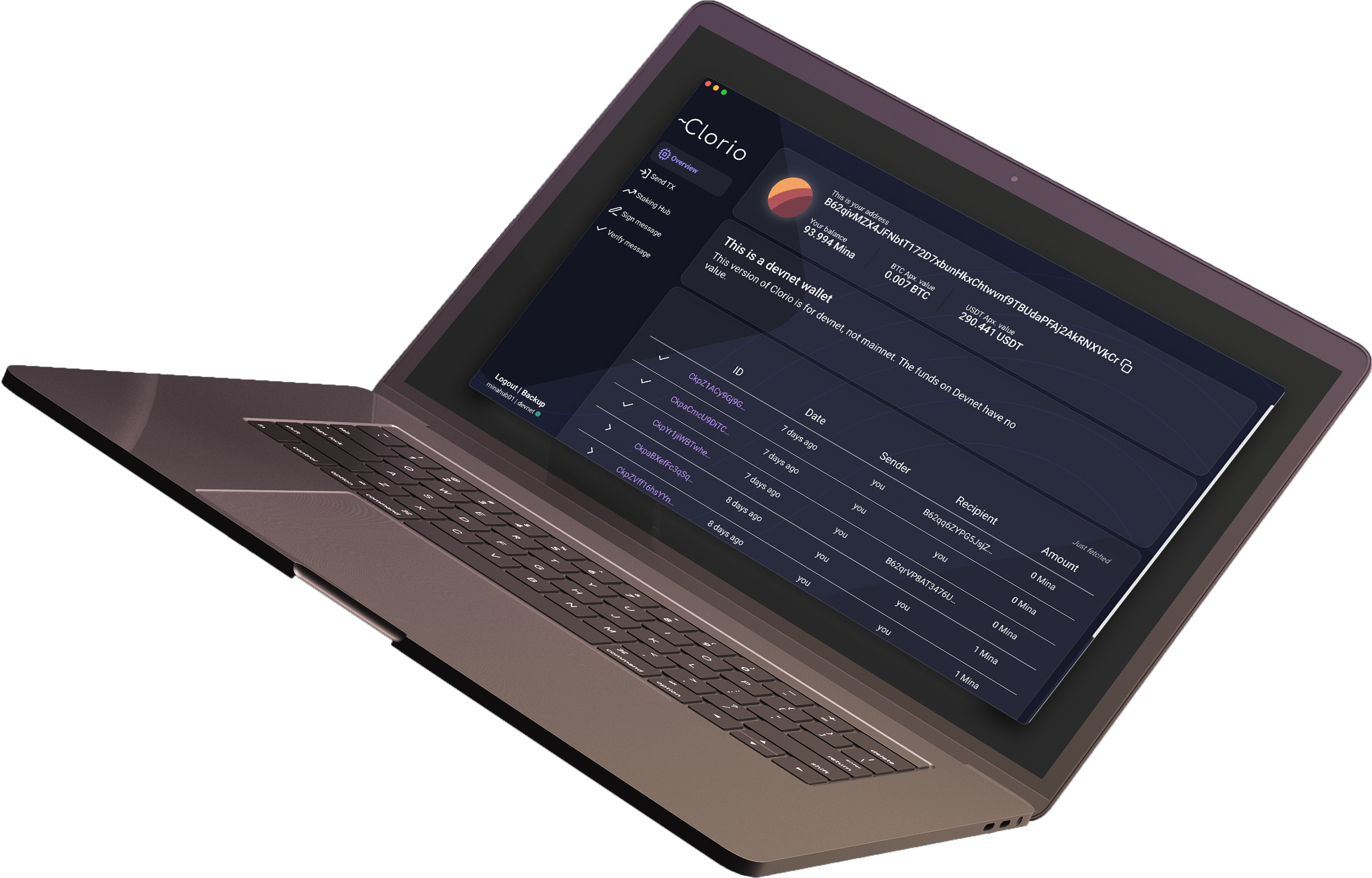 Mina Protocol staking wallet