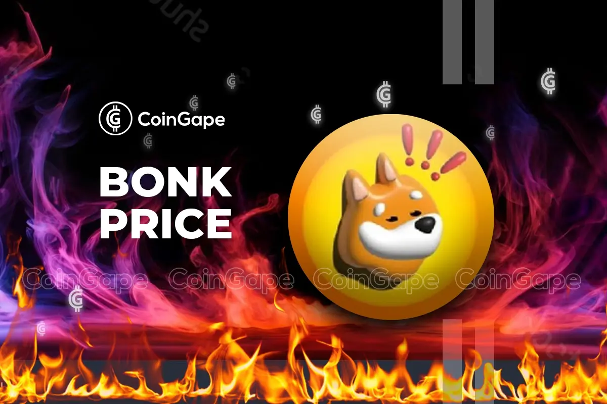BONK major token burn event 2025
