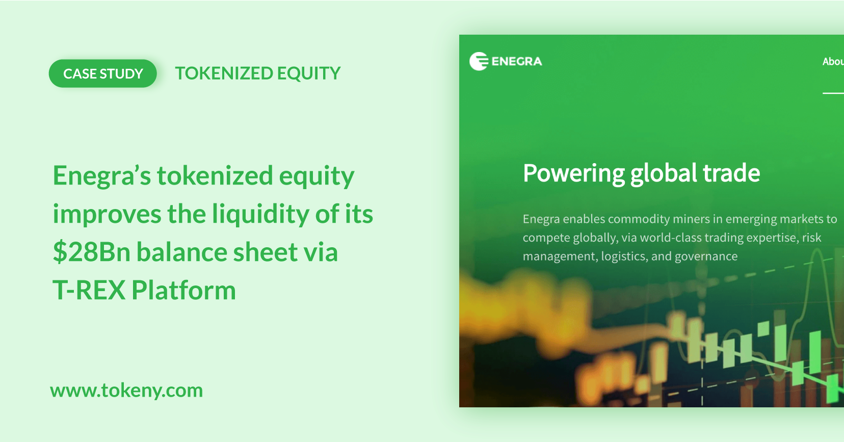 tokenized equities liquidity blockchain