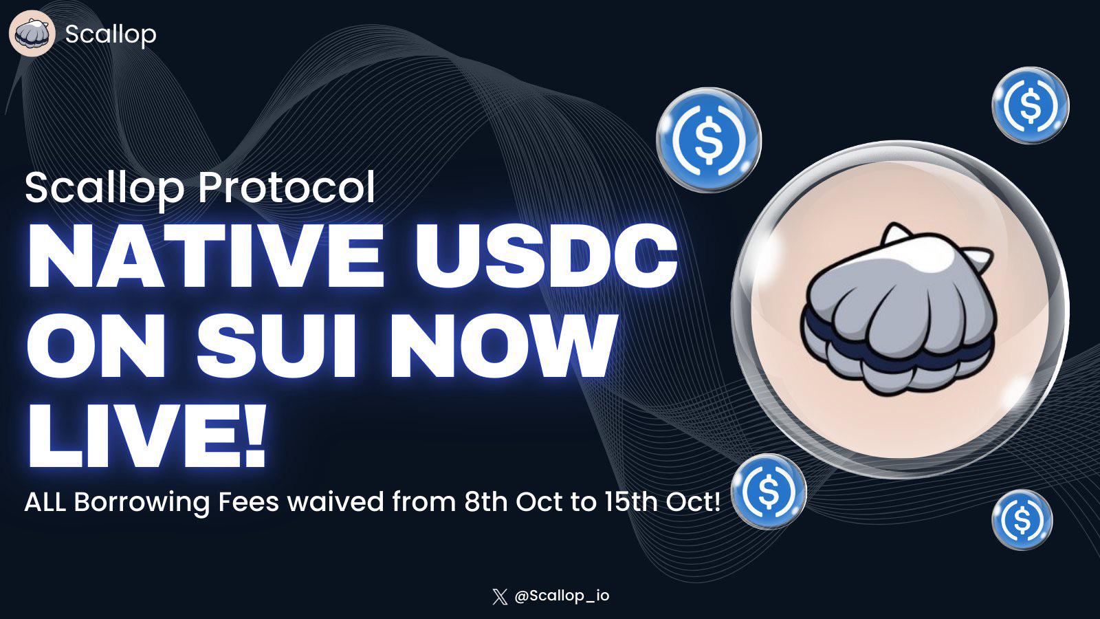 Scallop Lend Sui protocol logo