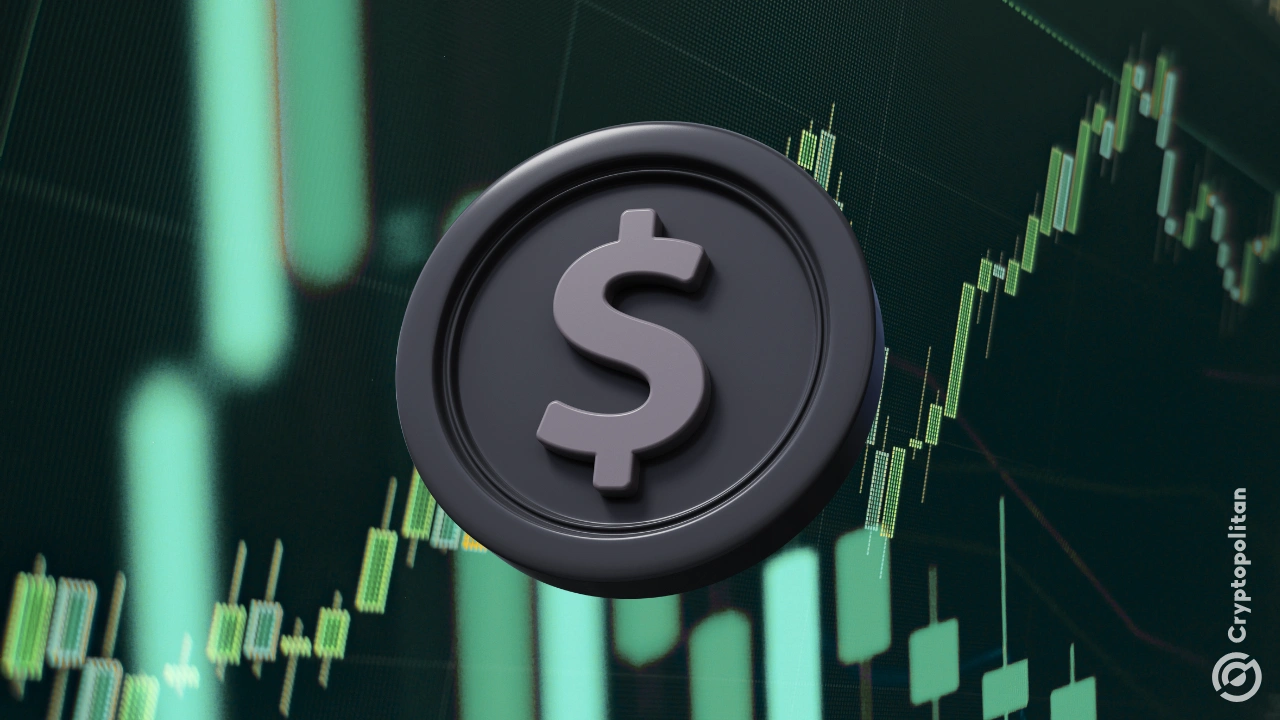 USDT USDC stablecoin trading 2025