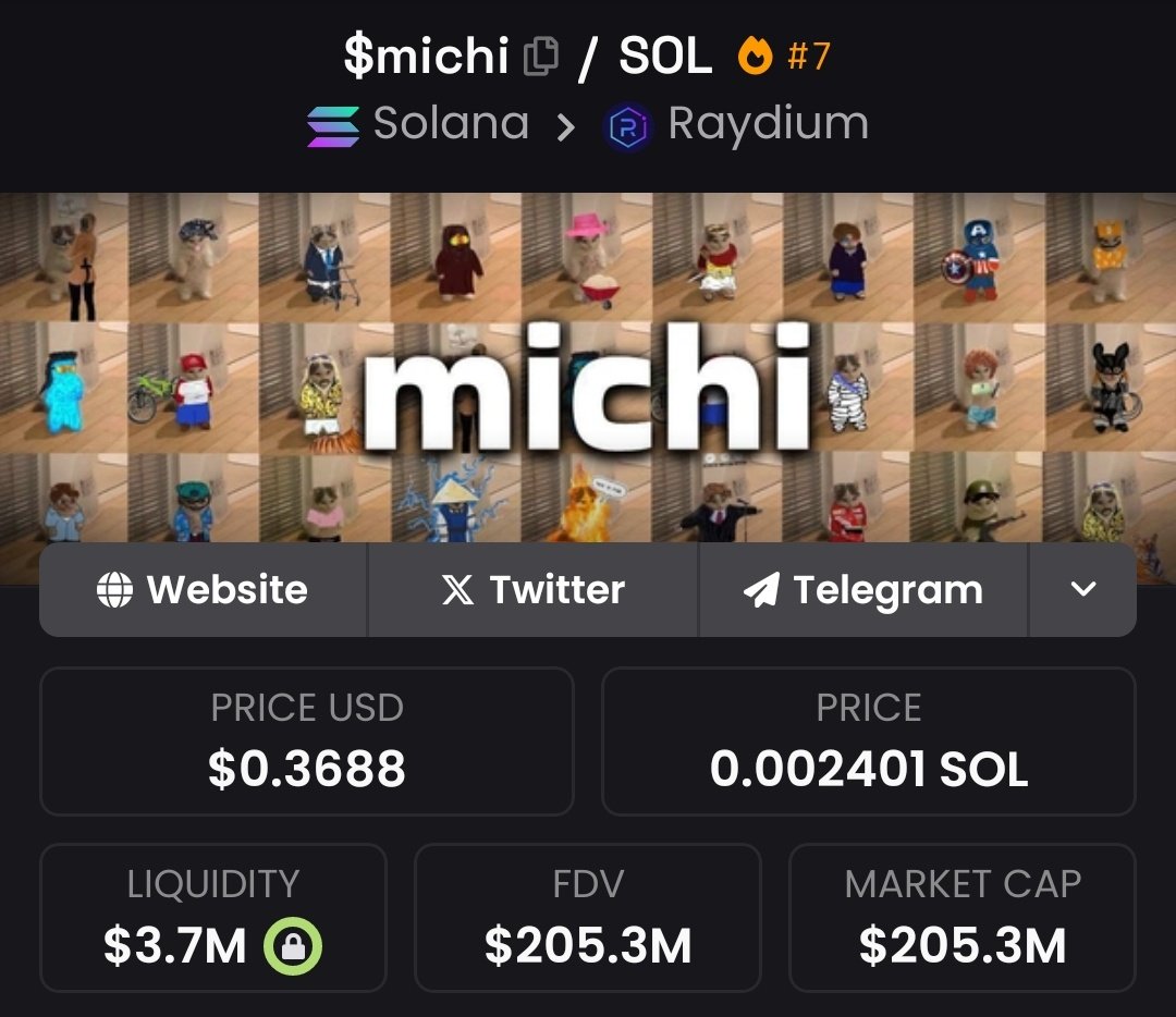 MICHI Solana memecoin