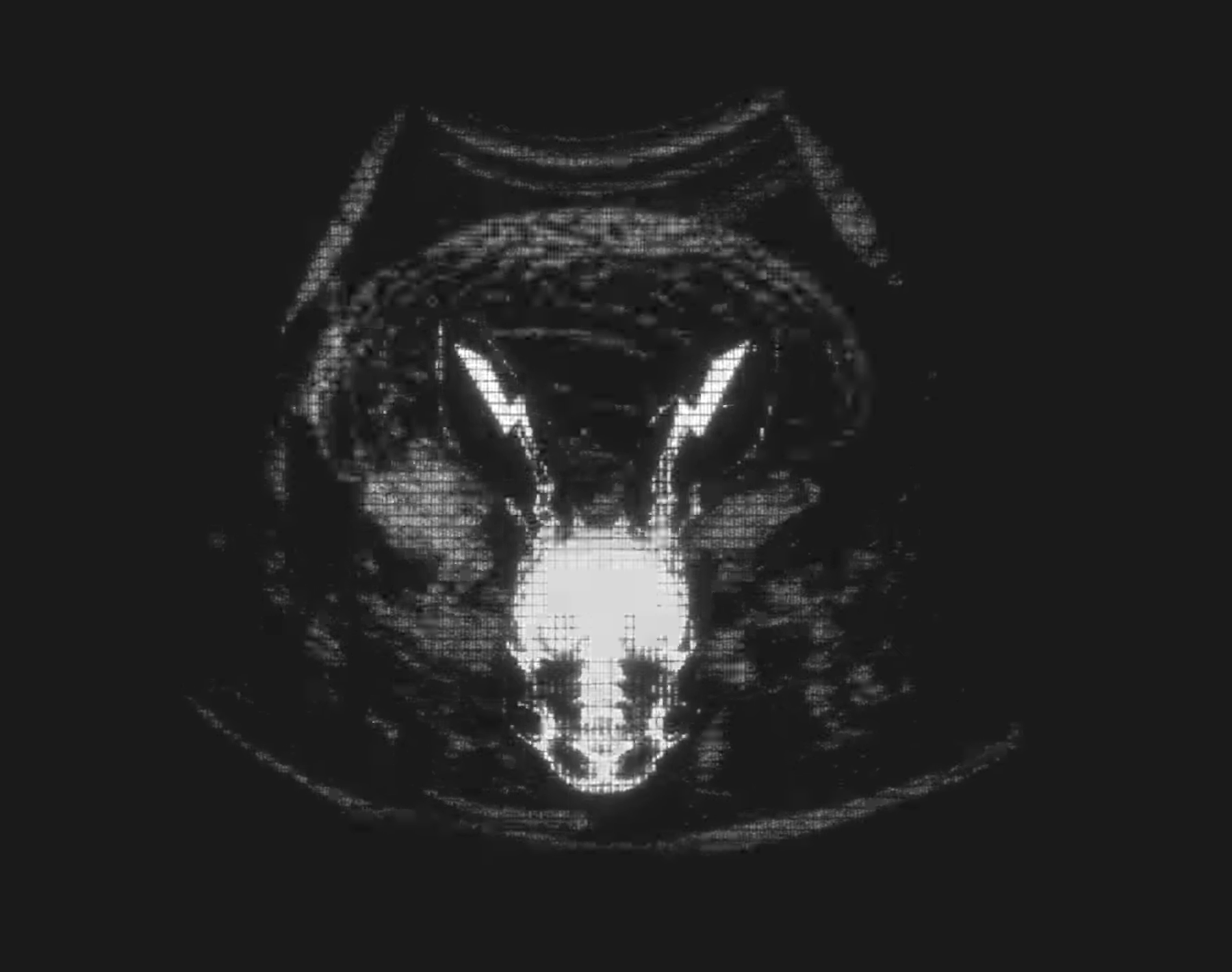 MegaETH The Fluffle NFT beta testing