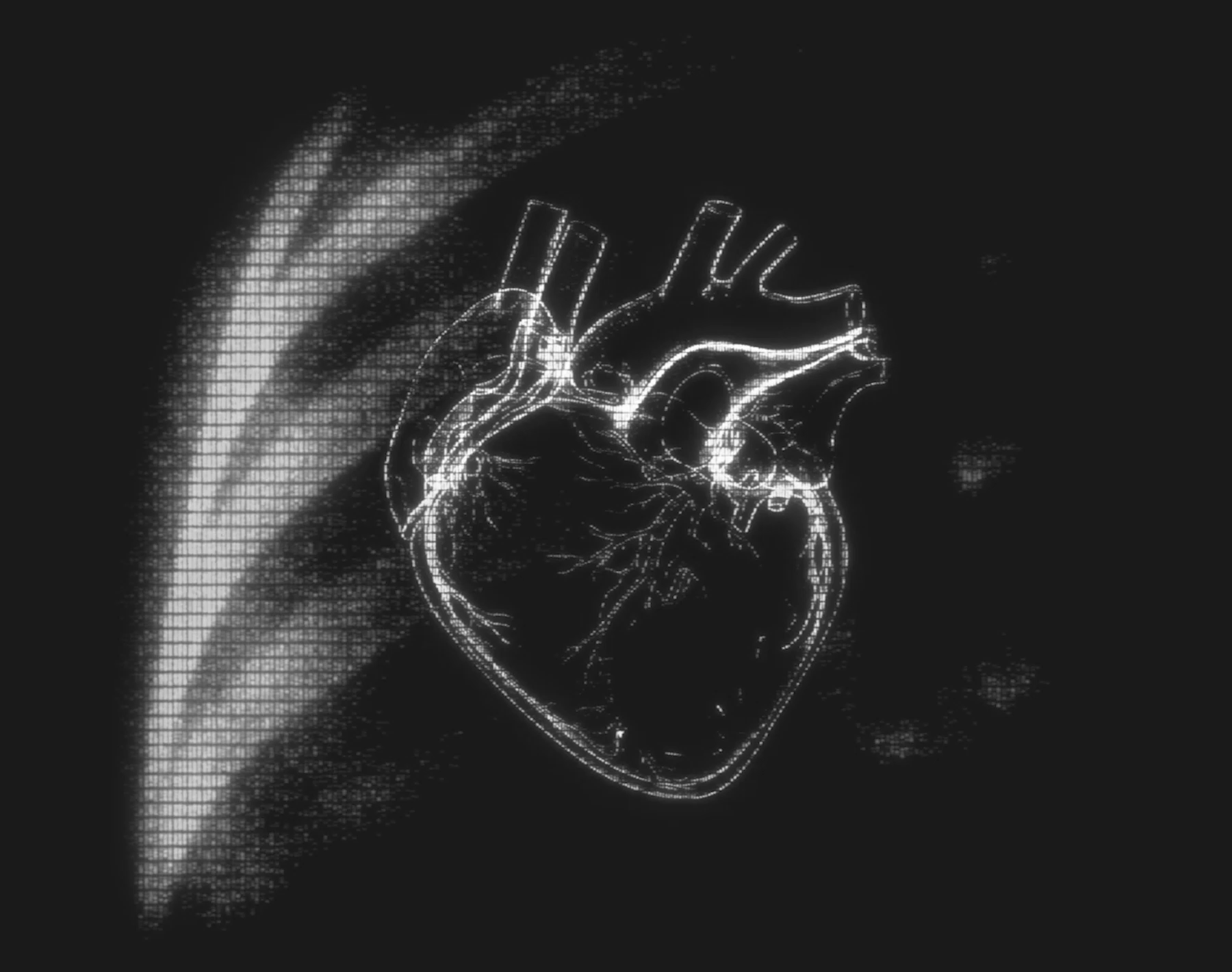 MegaETH The Fluffle NFT rewards