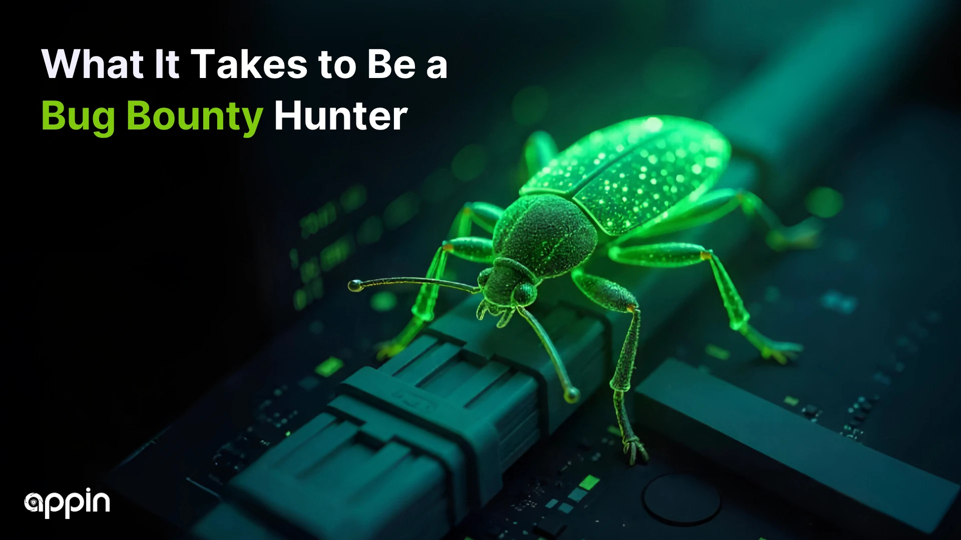 bug bounty hunter incentive rewards