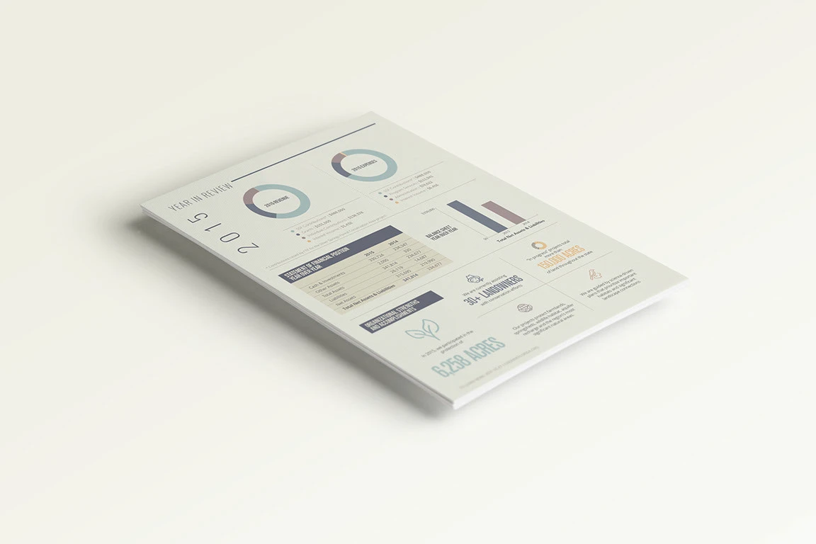 audited financial statements report icon