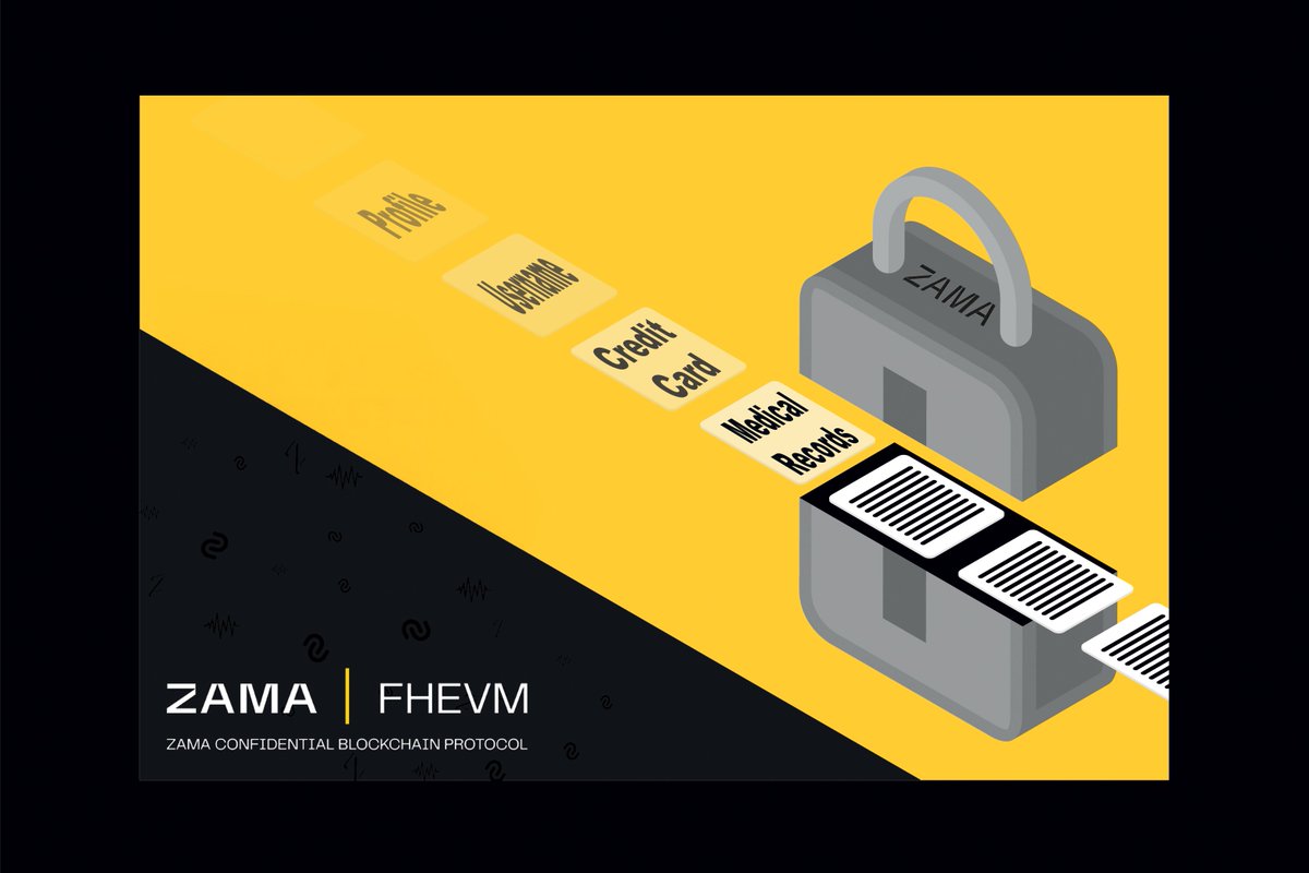 Zama fhEVM confidential DeFi interface