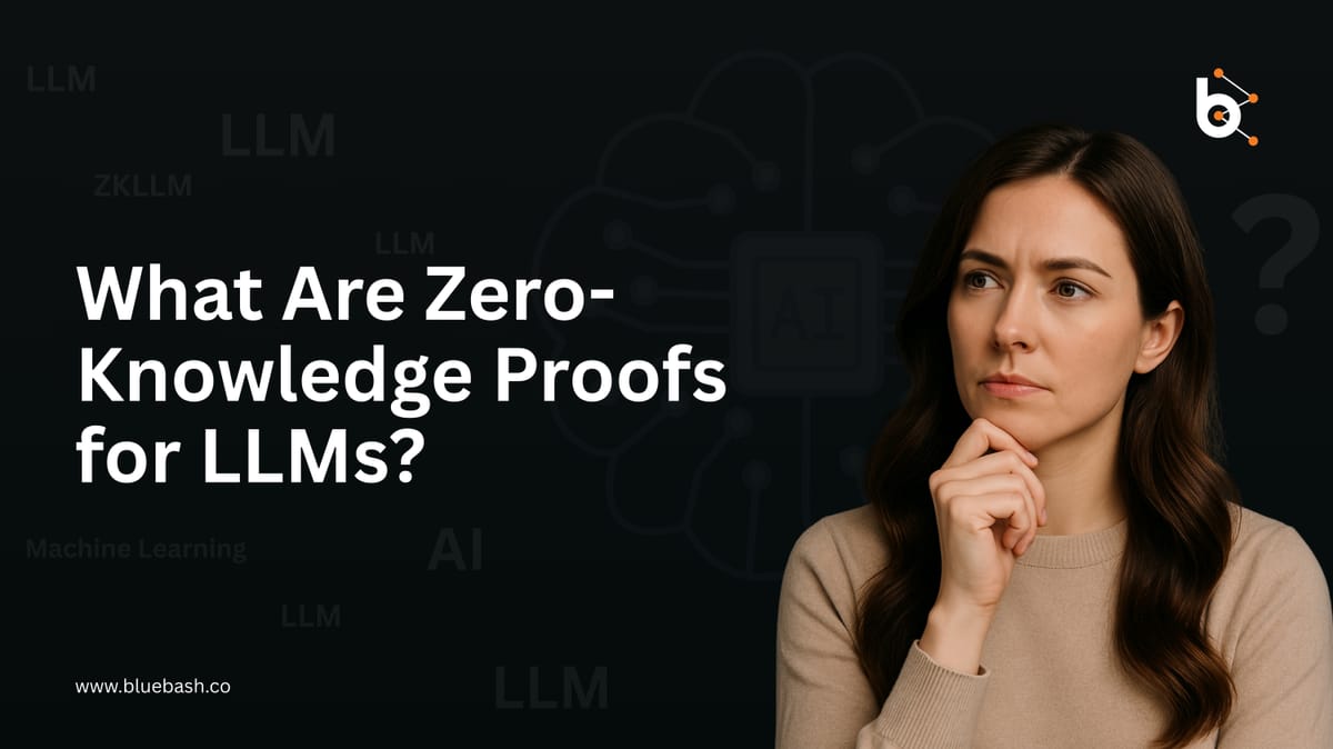 AI ZK proof pre-check interface