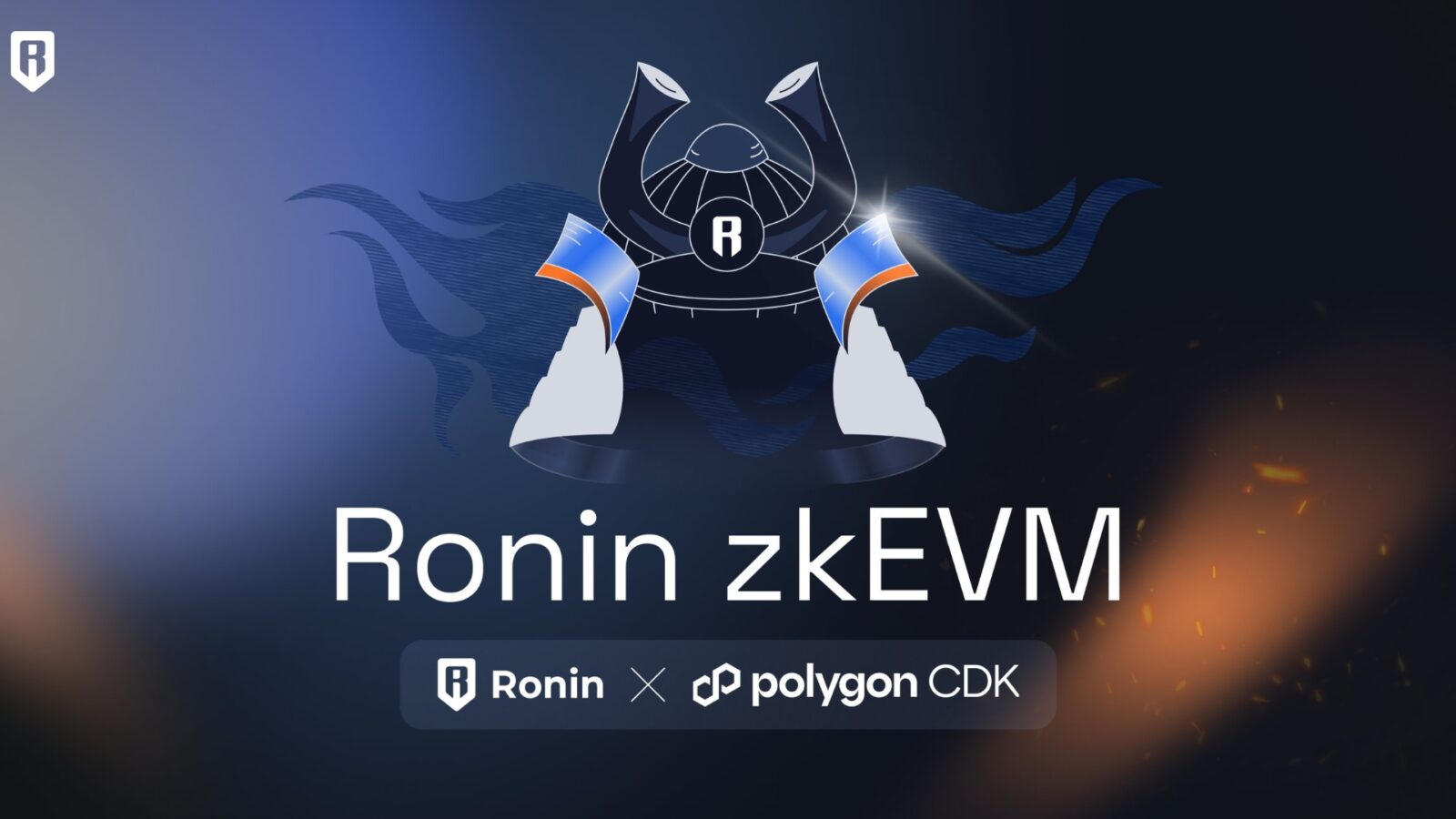 Ronin zkEVM developer grants and support