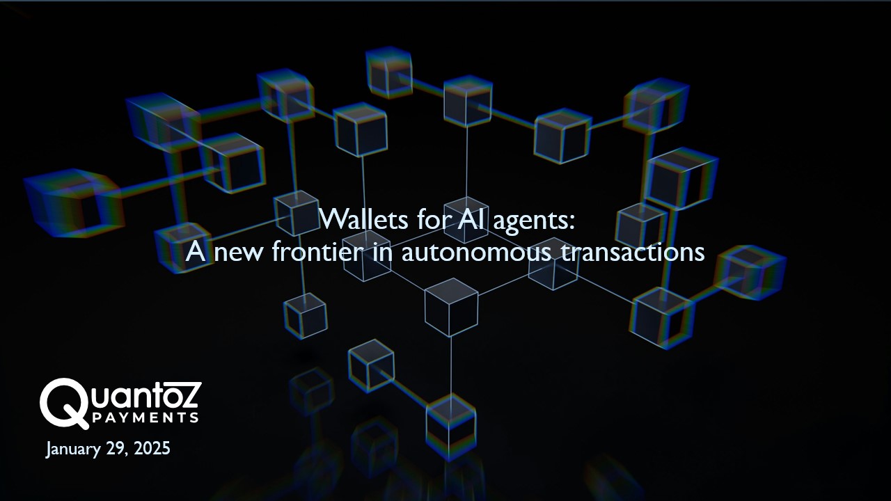 Quantoz Payments EEA regulatory compliance Visa