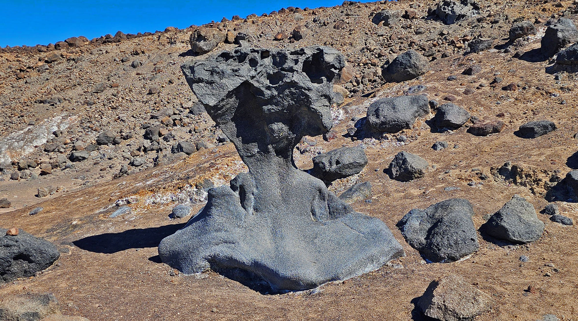 Mushroom Oasis accessibility features