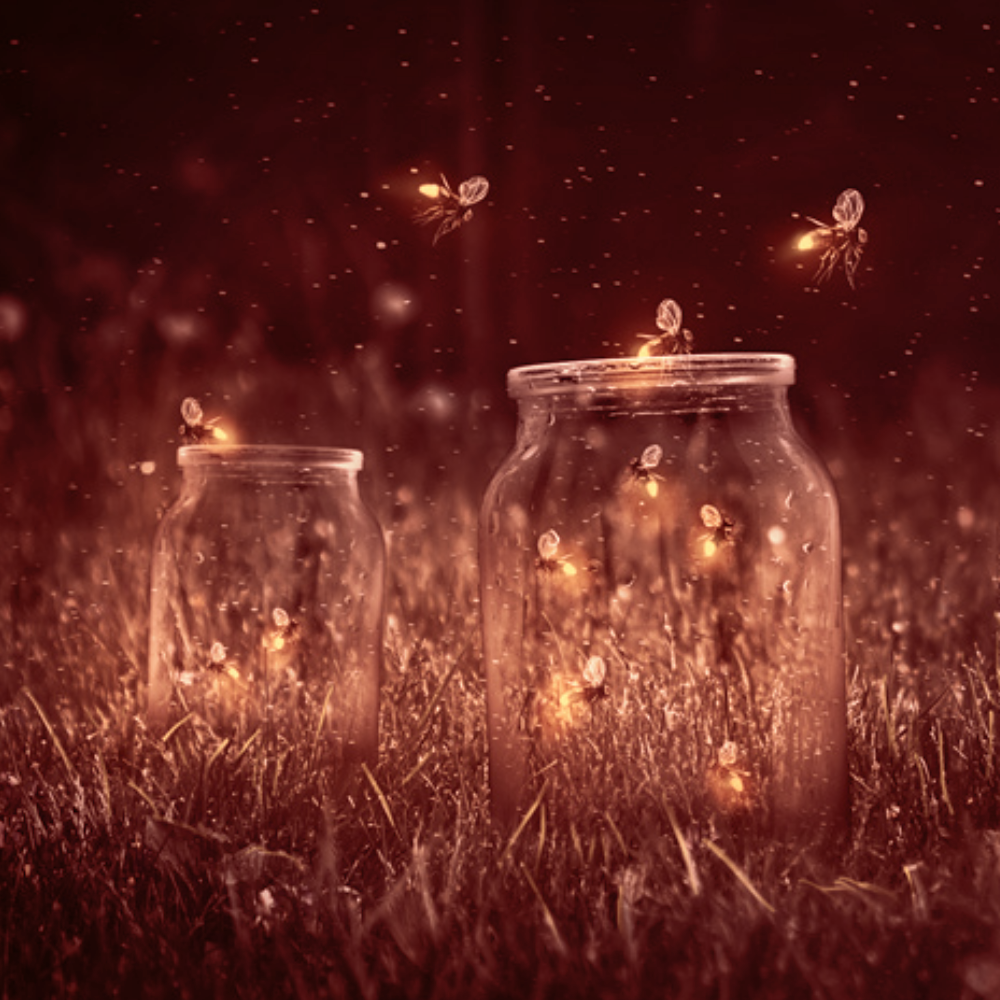 Mushroom Oasis soundtrack