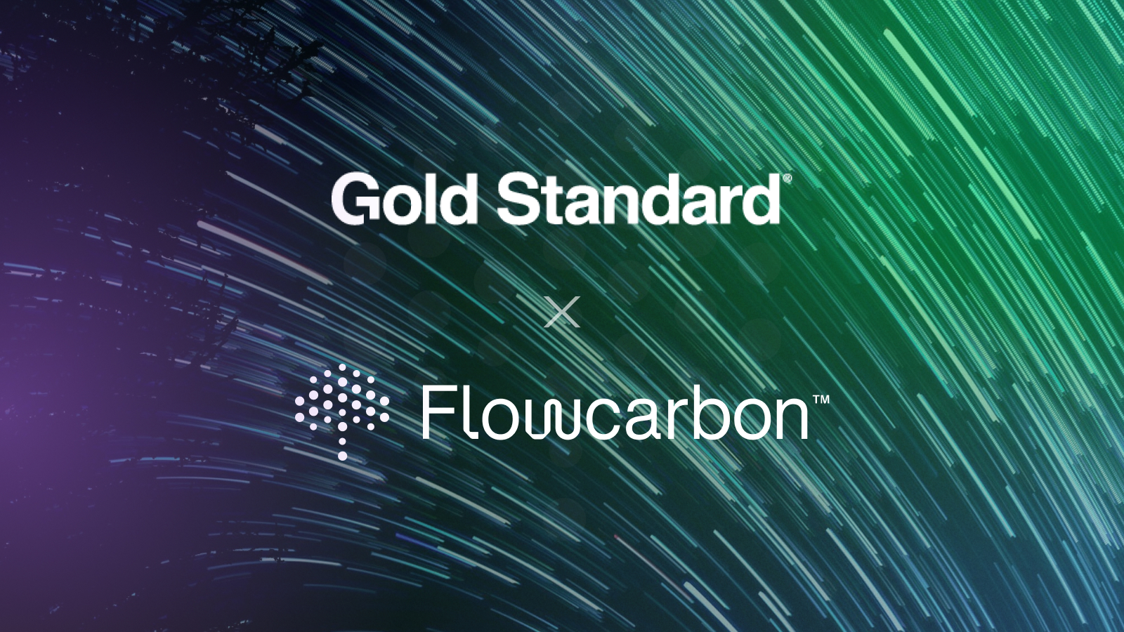 Verra Gold Standard carbon credits tokenization