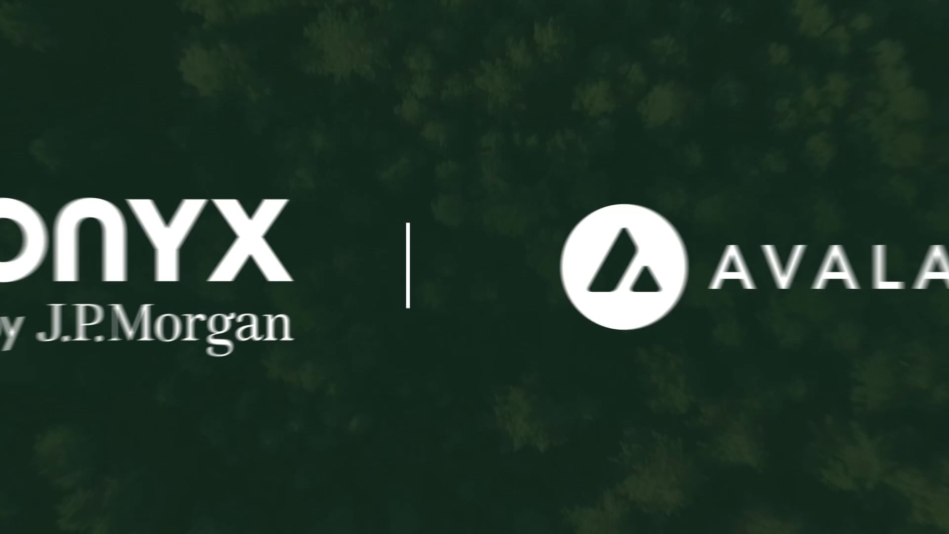 JPMorgan Onyx blockchain privacy layer