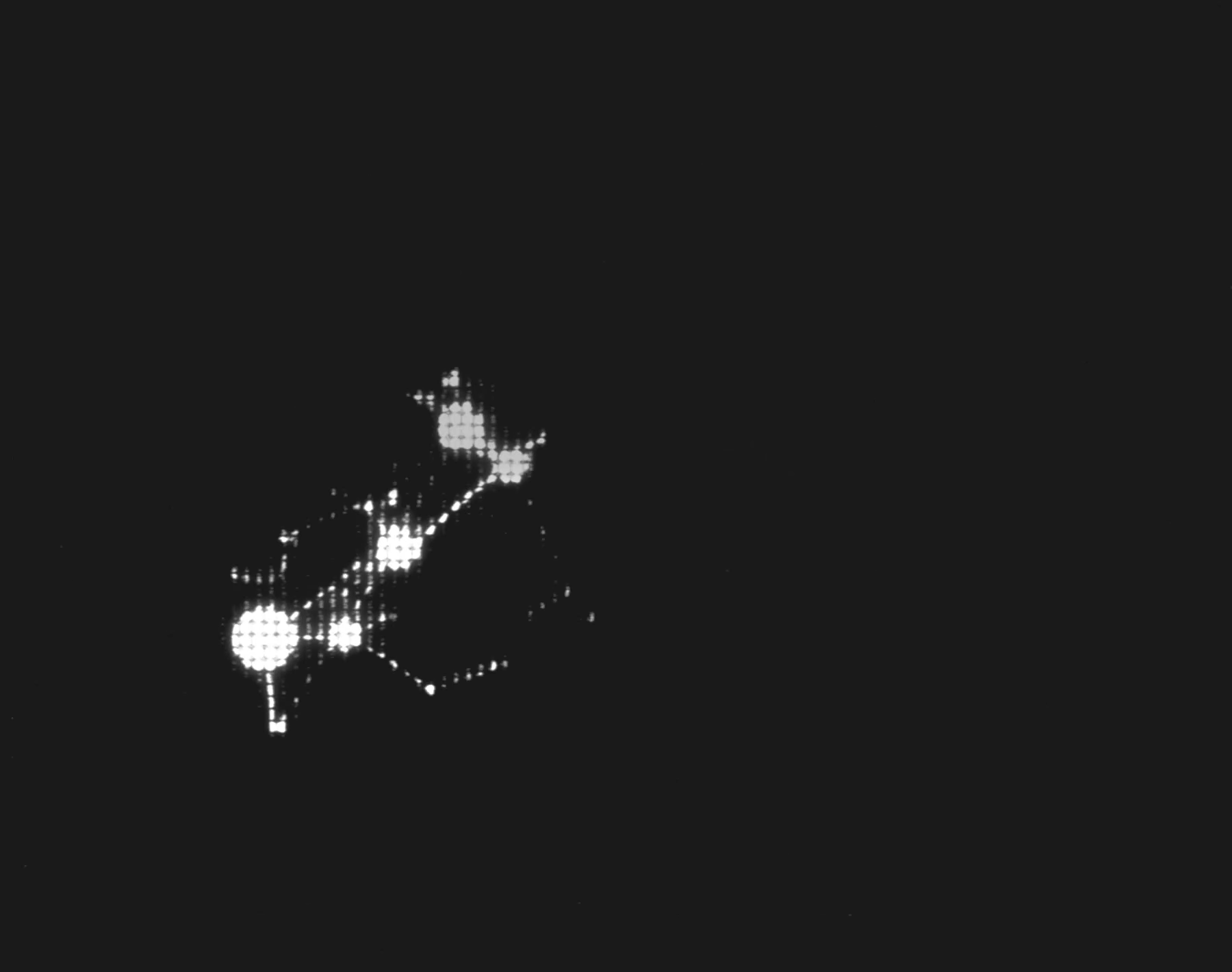 MegaETH Fluffle NFT character traits