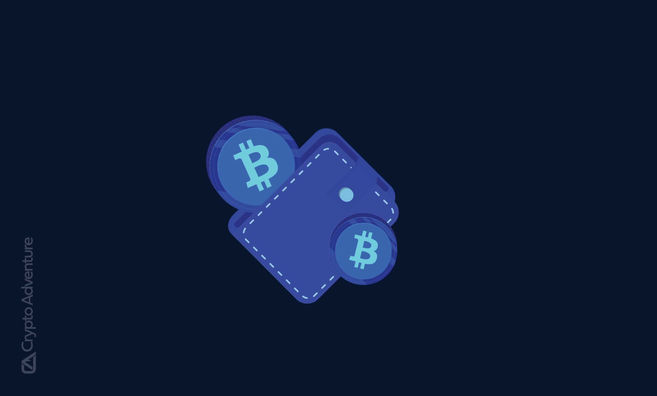 secure decentralized wallet icon