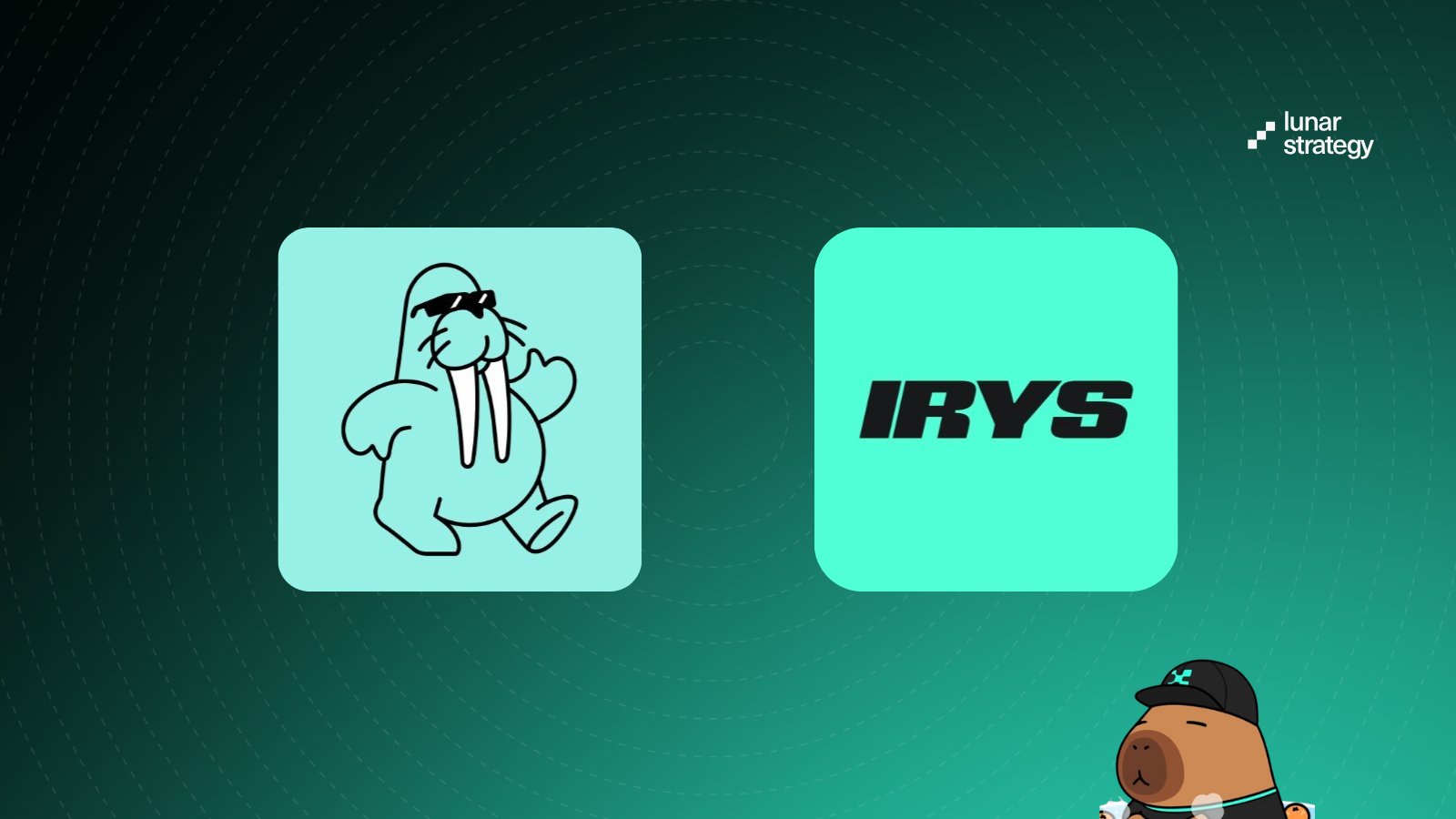 Irys verifiable datasets blockchain