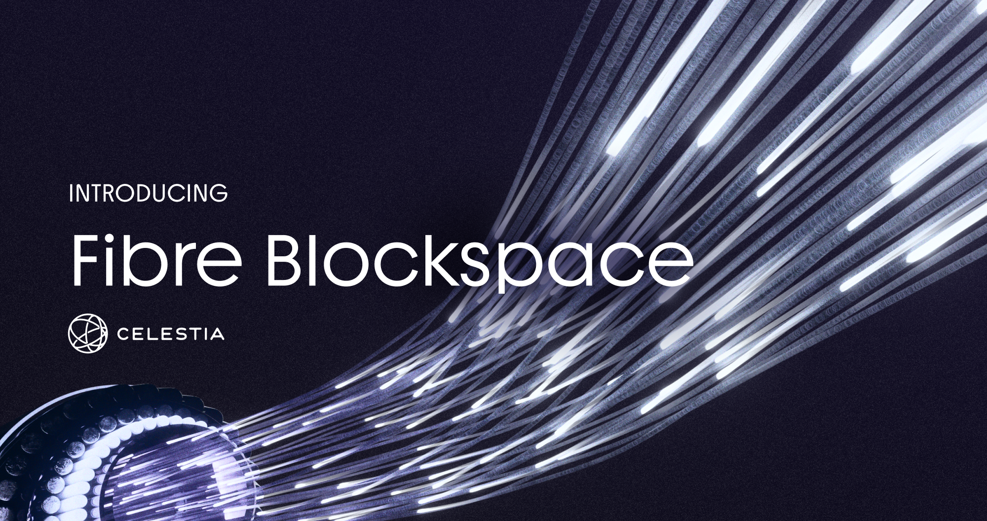Celestia Fibre 1Tb/s blockspace diagram