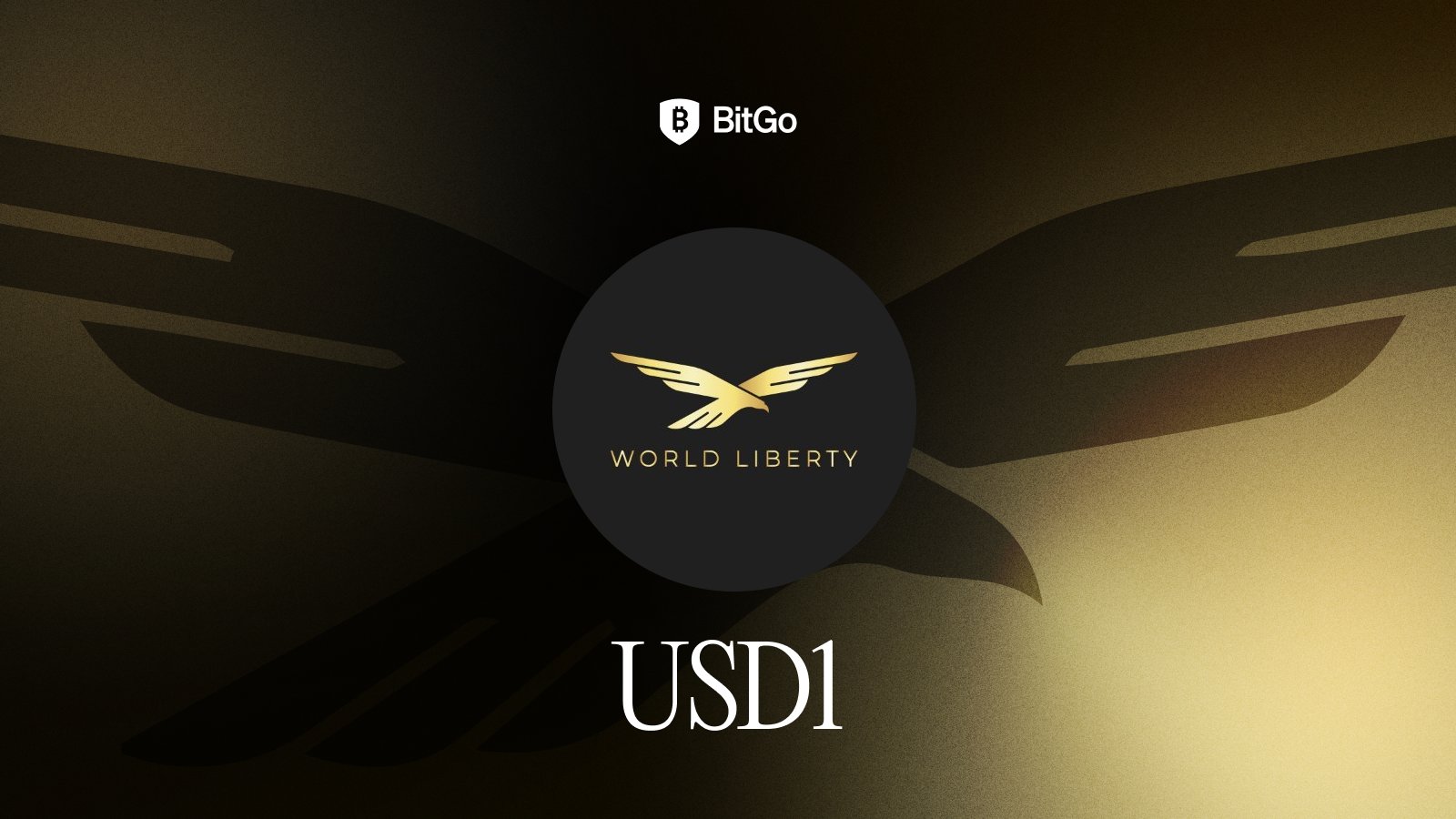 USD1 stablecoin institutional custody