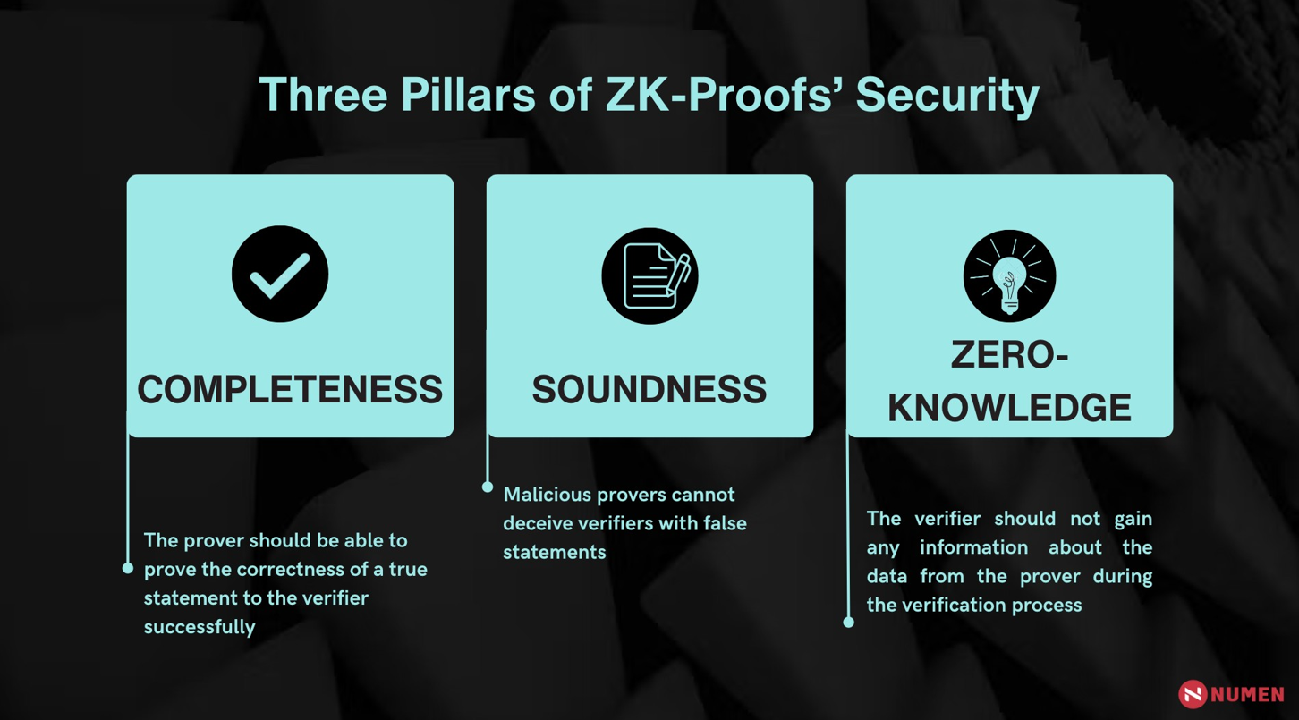 zk proof public audit verification