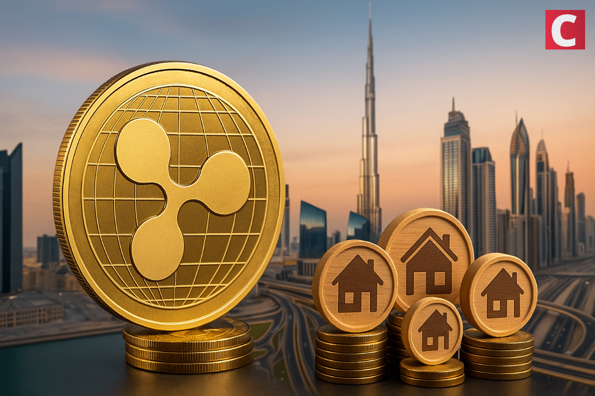 Dubai Land Department crypto transaction reporting