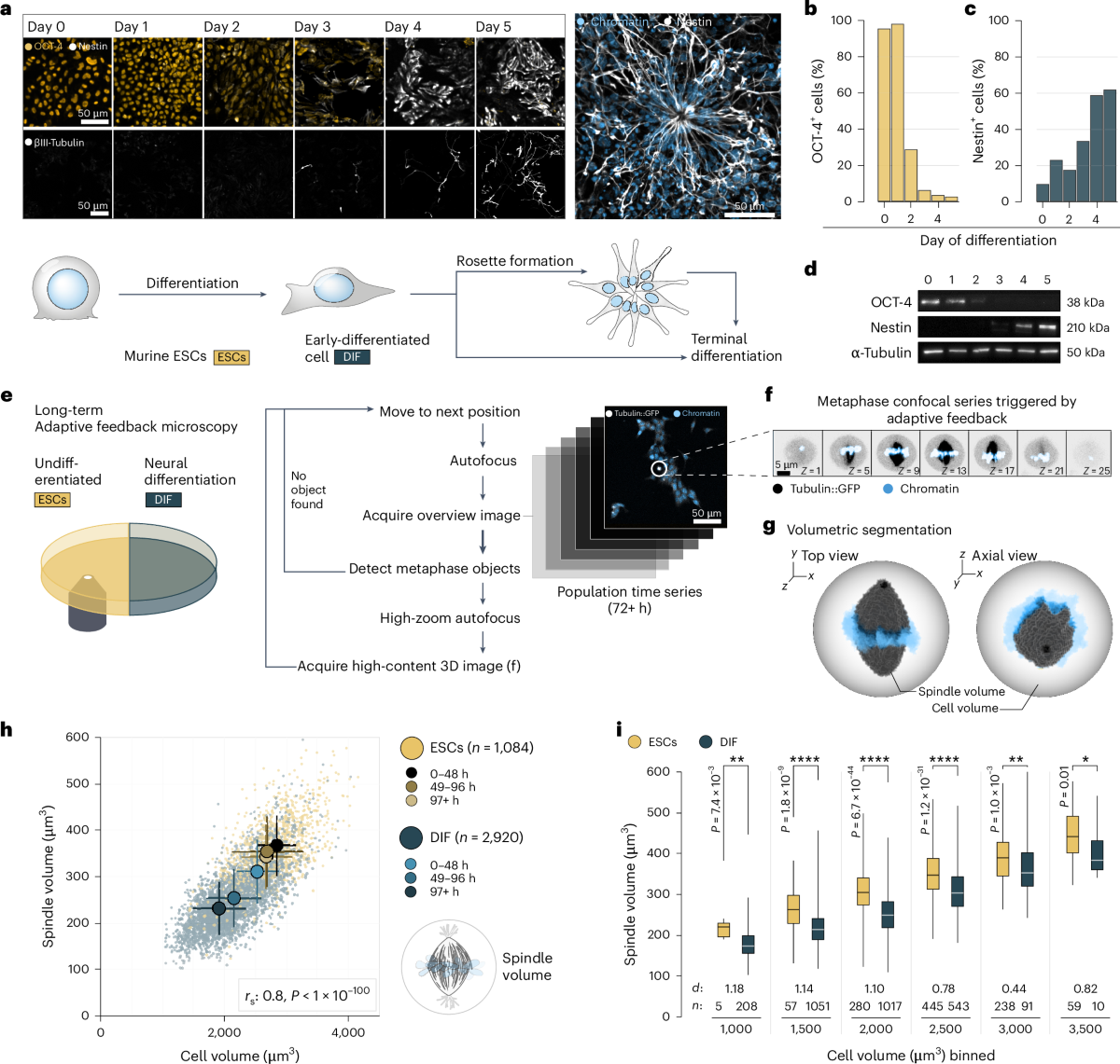 Lens Protocol modular architecture diagram
