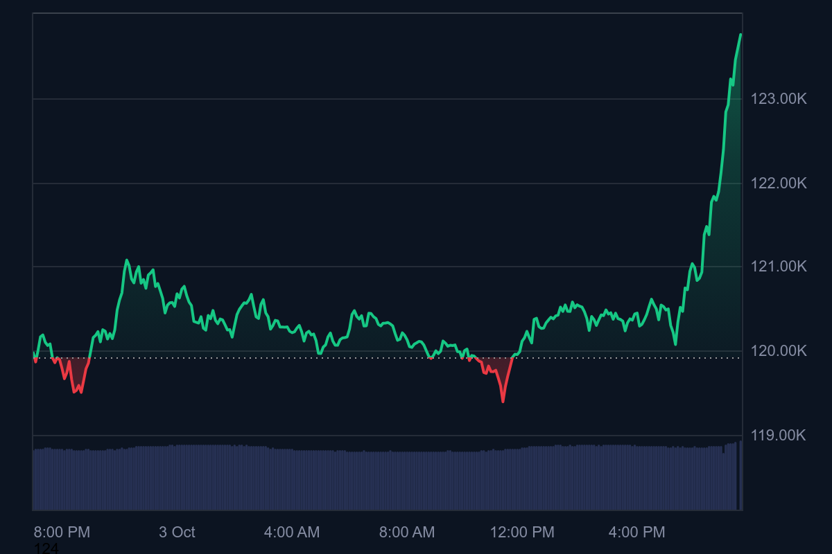 Bitcoin price chart October 2025