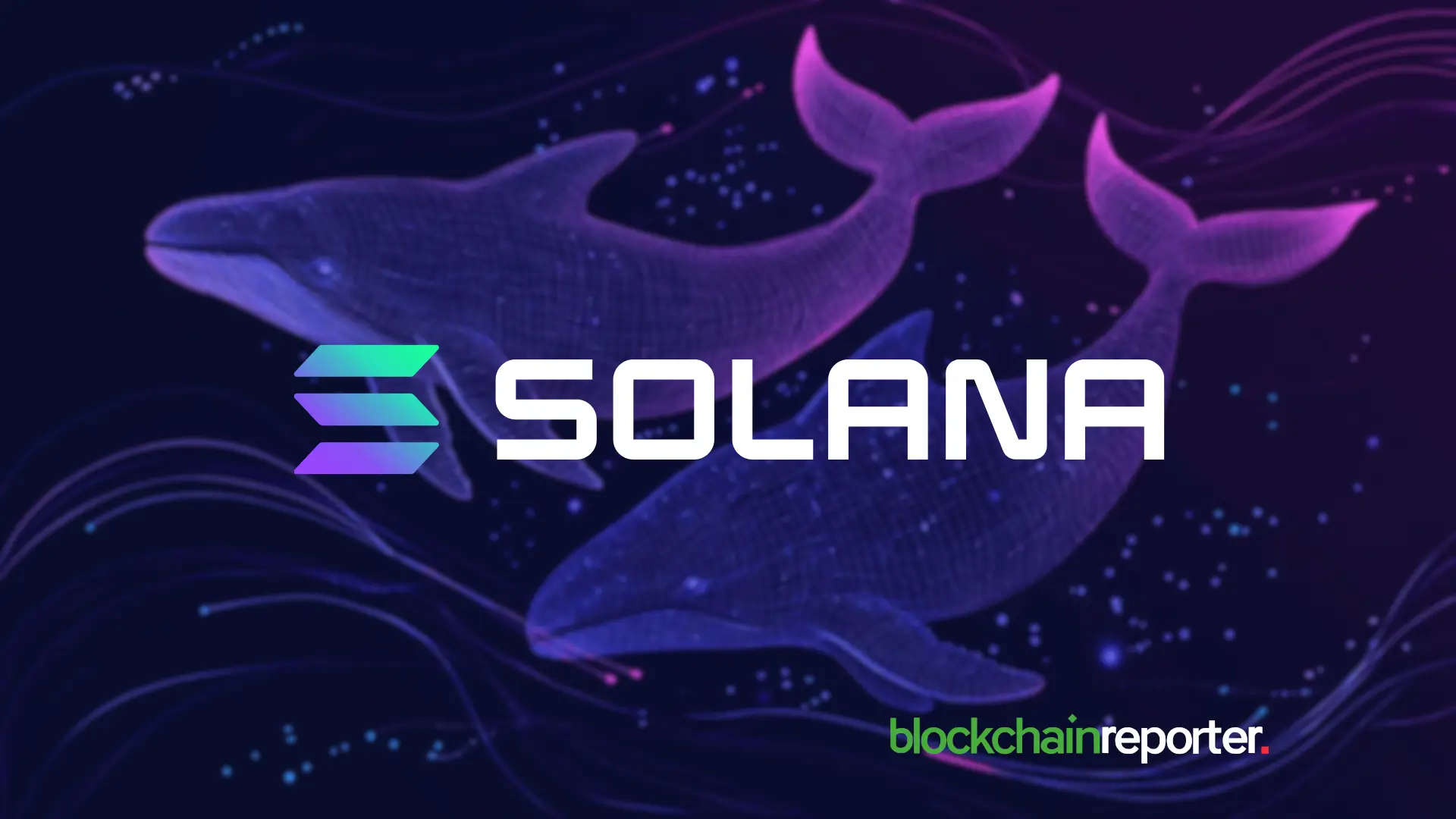 Whale Meme Coin Solana logo