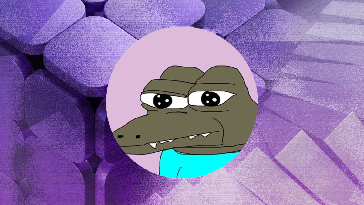 $NOICE Base memecoin logo NFT art