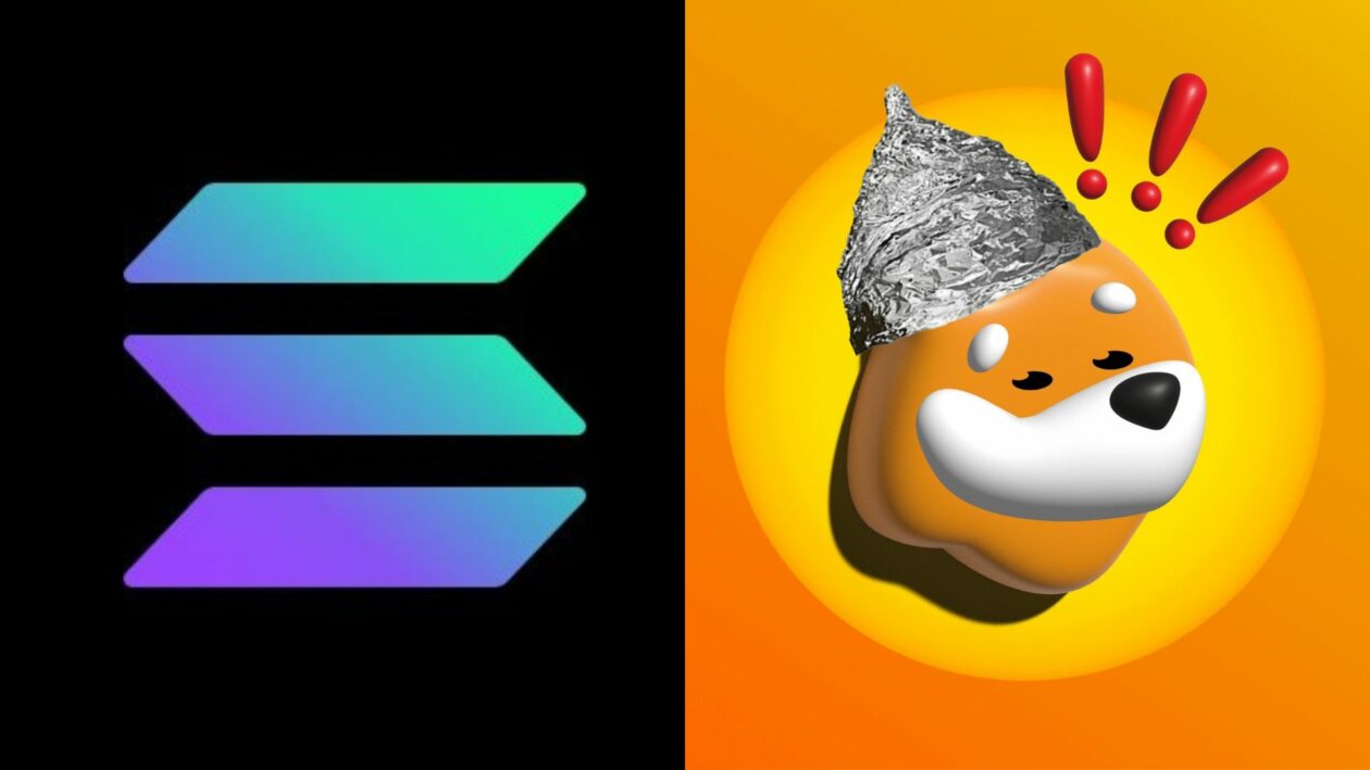 Bonk Solana memecoin logo