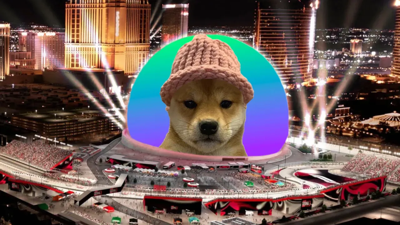 Dogwifhat WIF Solana memecoin mascot