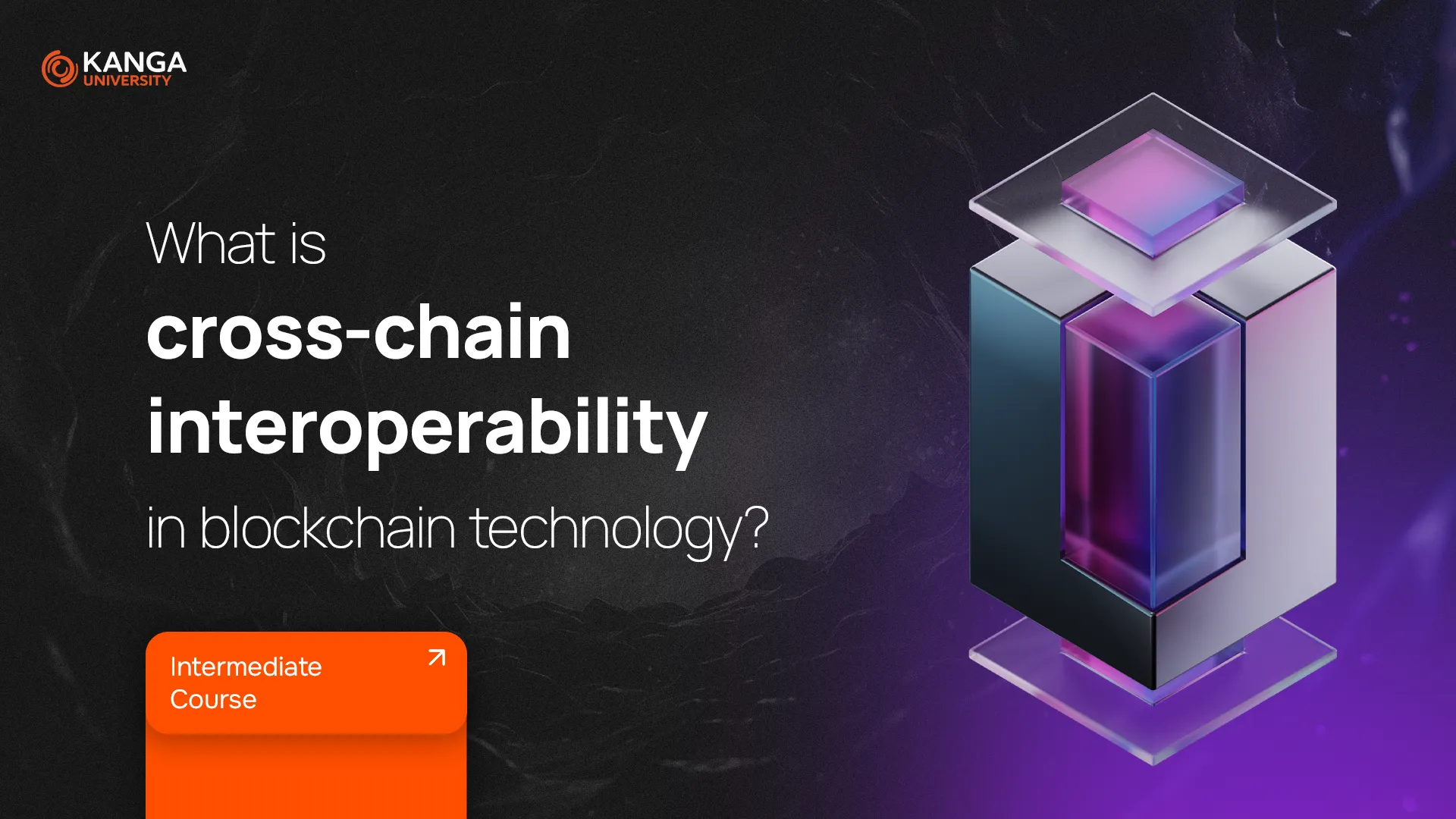 cross-chain payment protocol interoperability issue