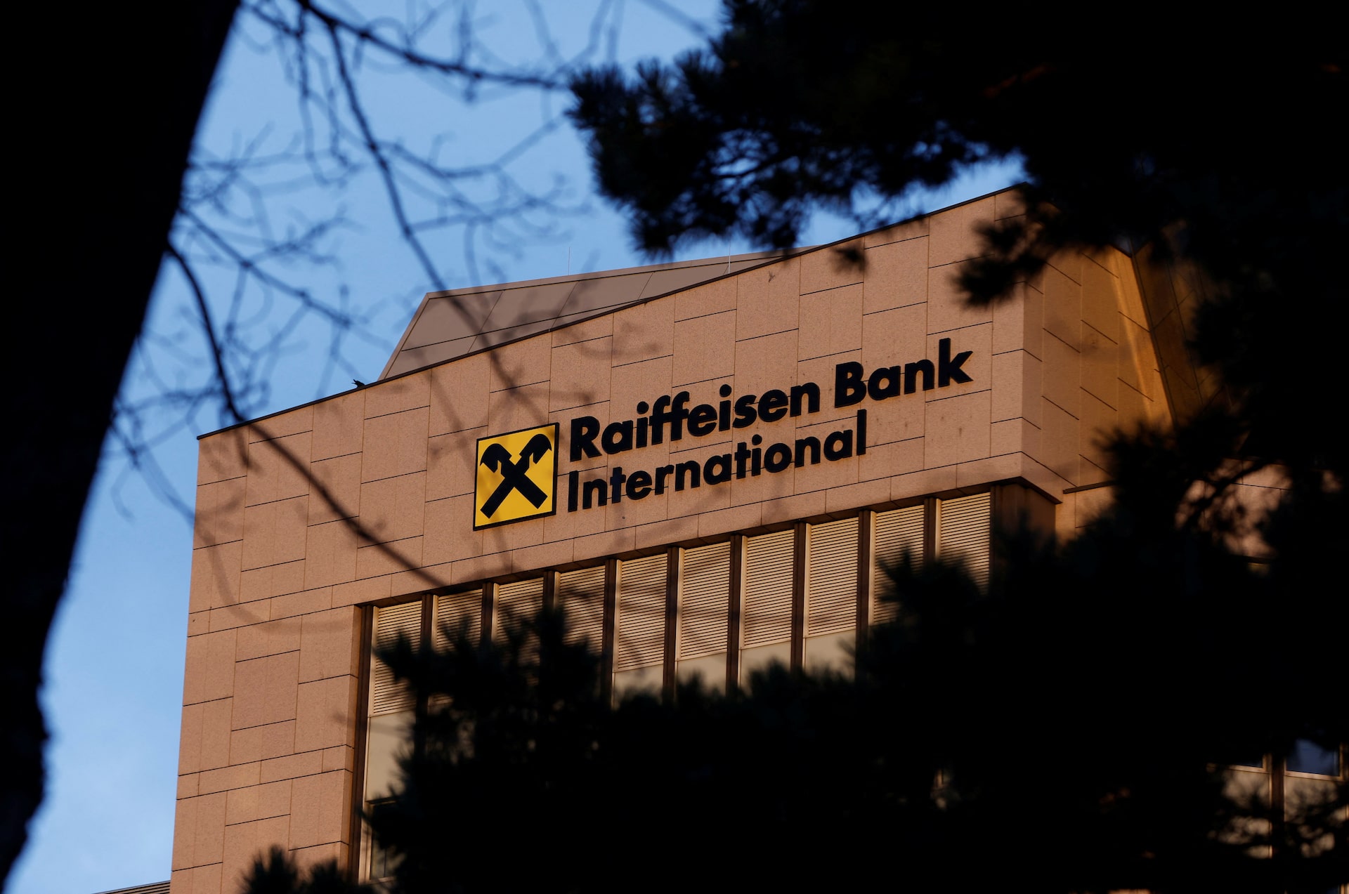 Raiffeisen Bank International logo