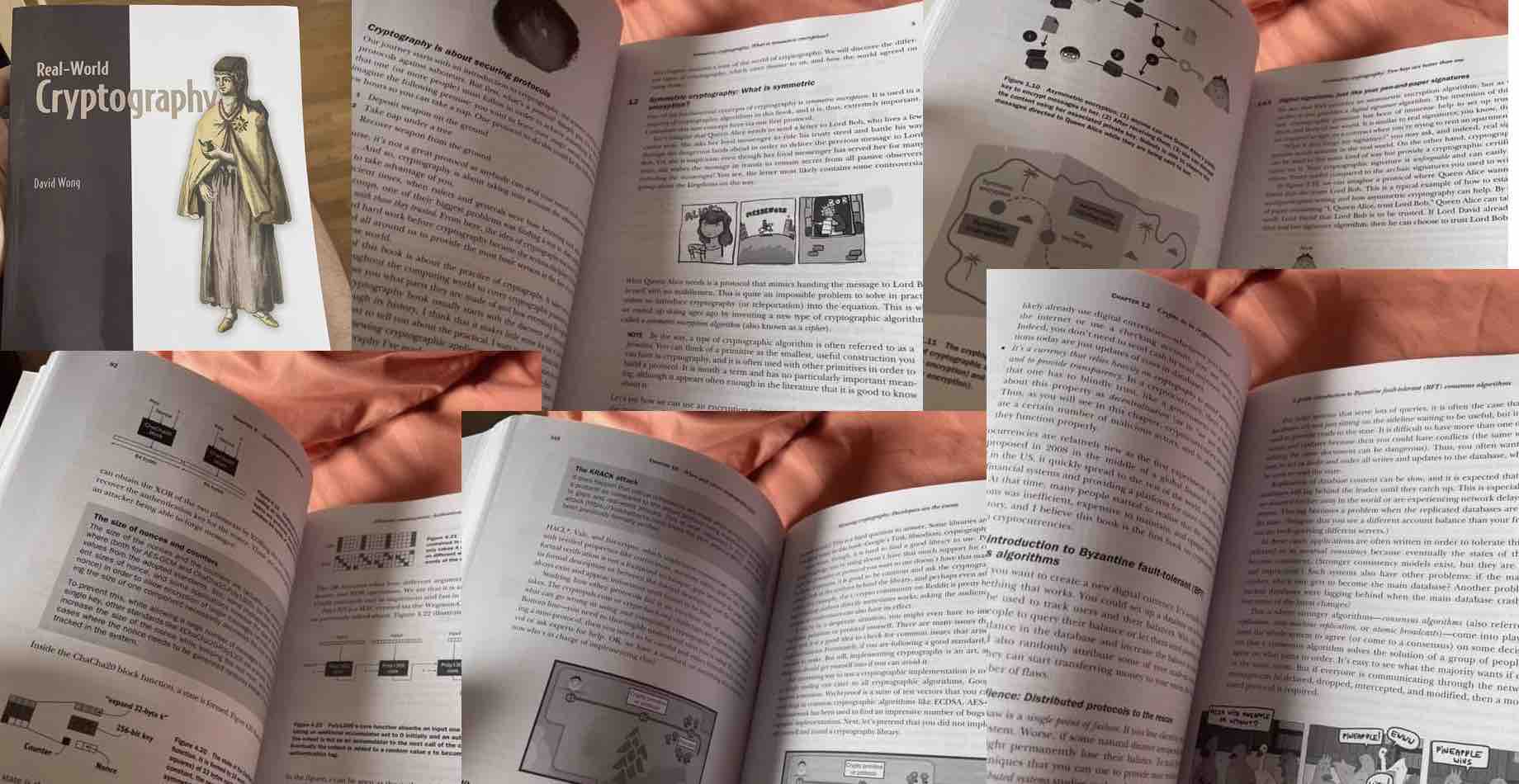 UltraPlonk zero knowledge proof illustration