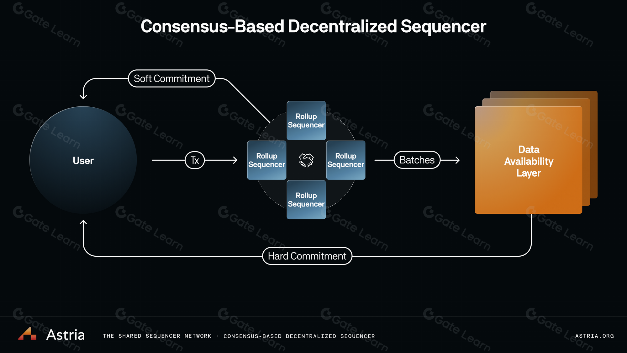 Espresso Systems OP Stack deterministic block sequencing