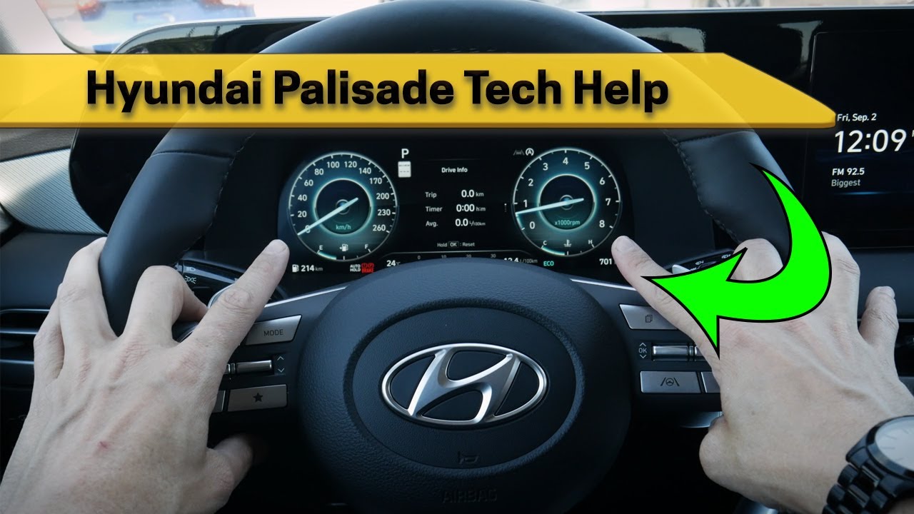 Palisade allowlist management dashboard