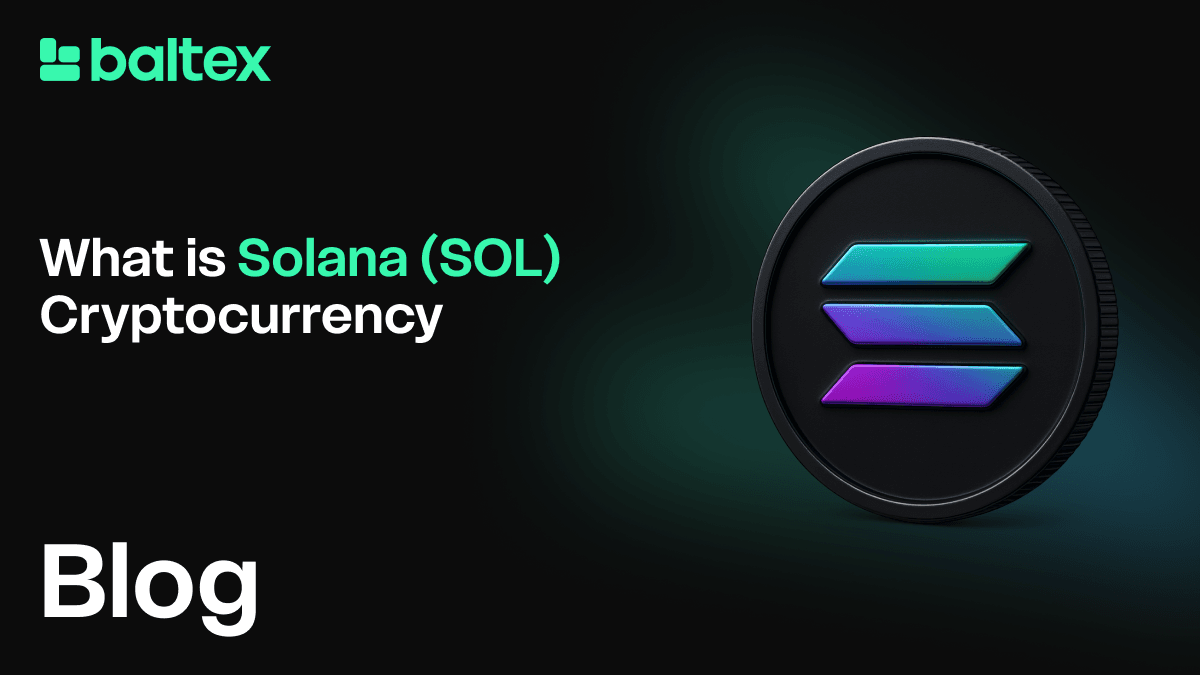 Solana blockchain speed and low fees infographic